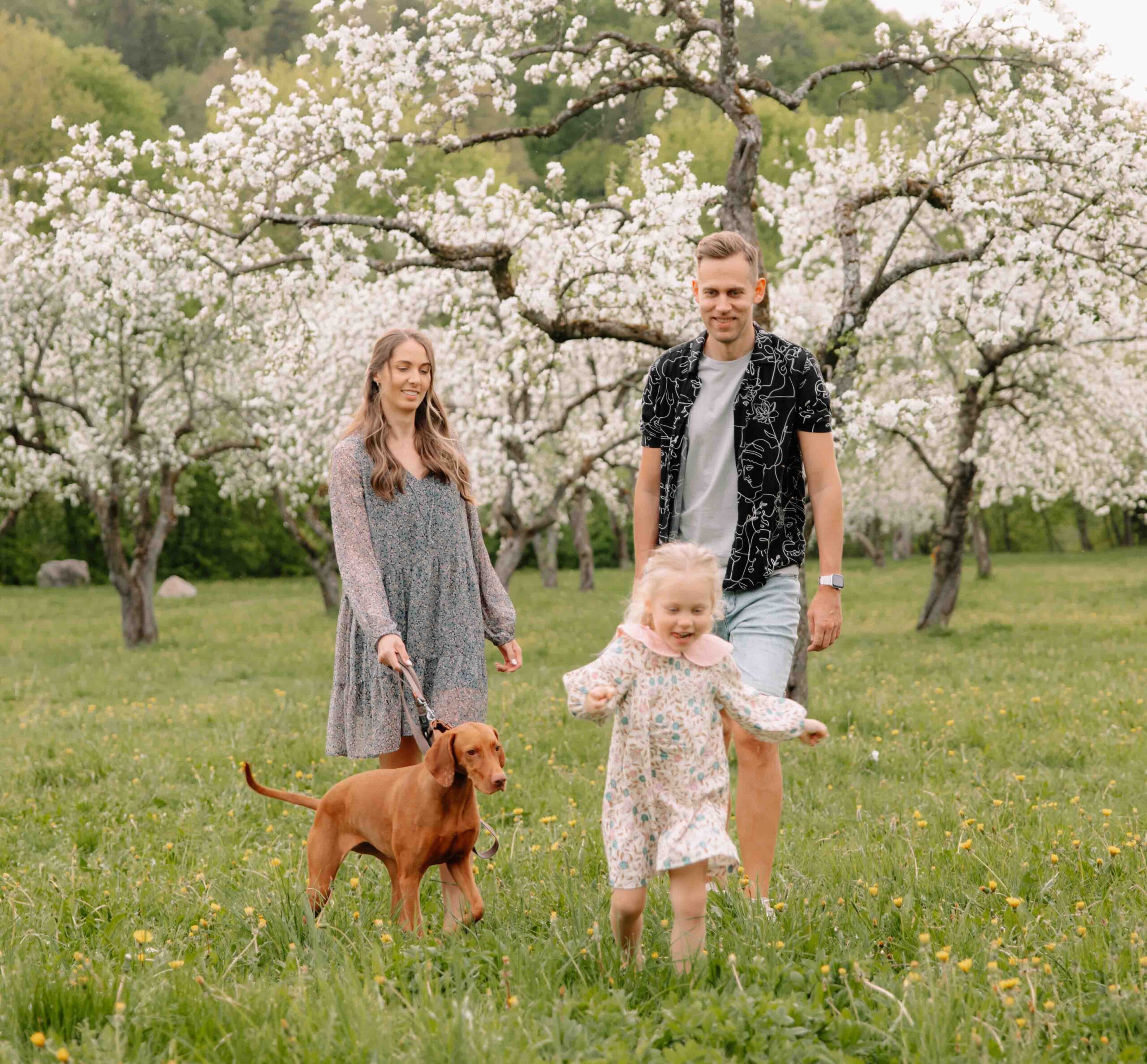 seimos fotosesija prie sakuru