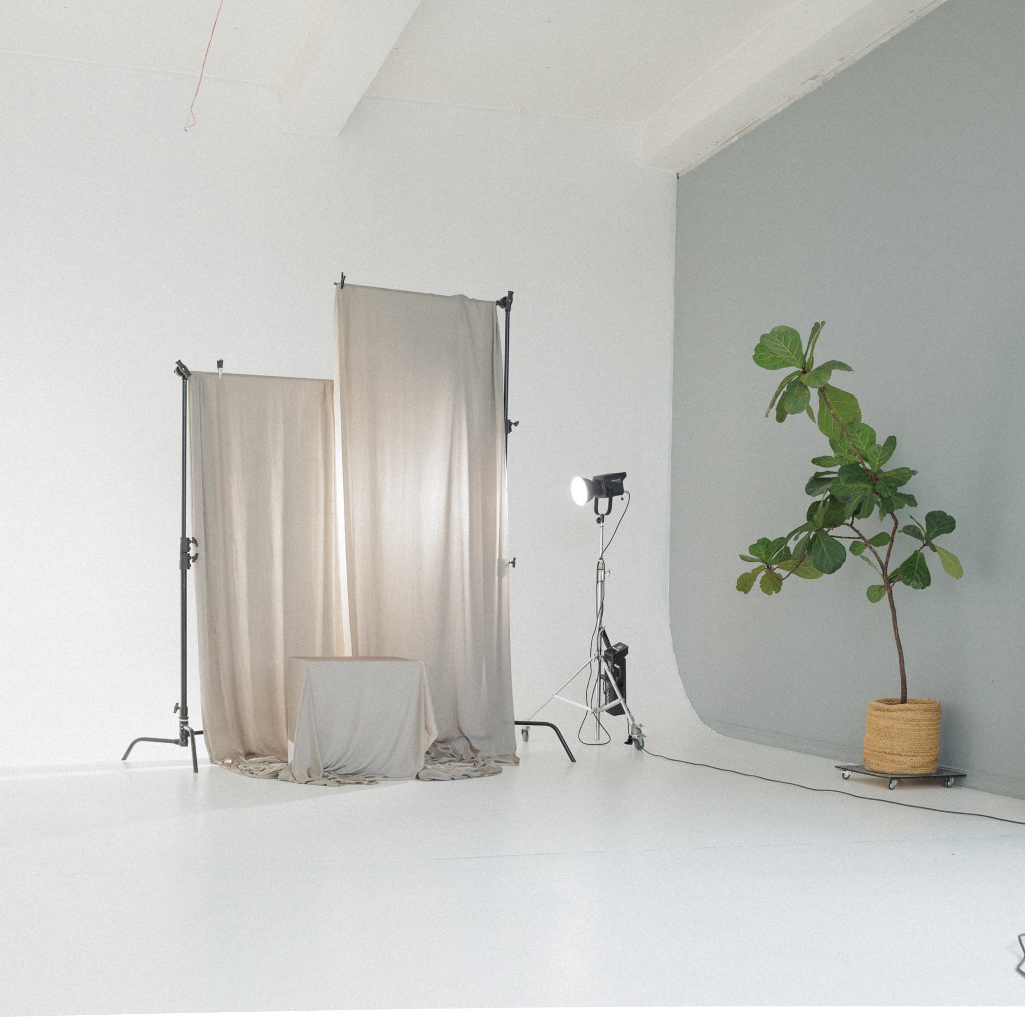 brazzi studio a hall