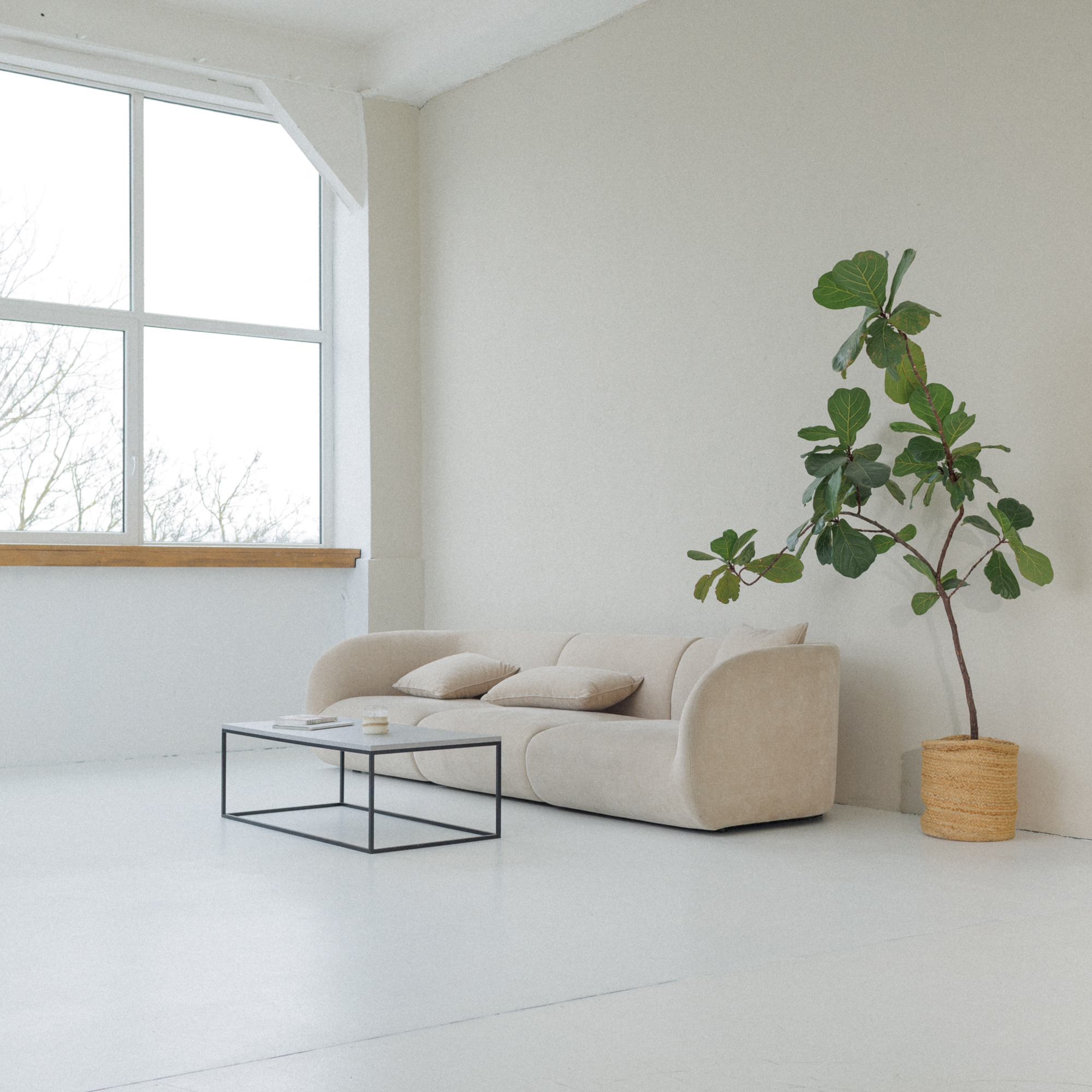 brazzi studio a hall