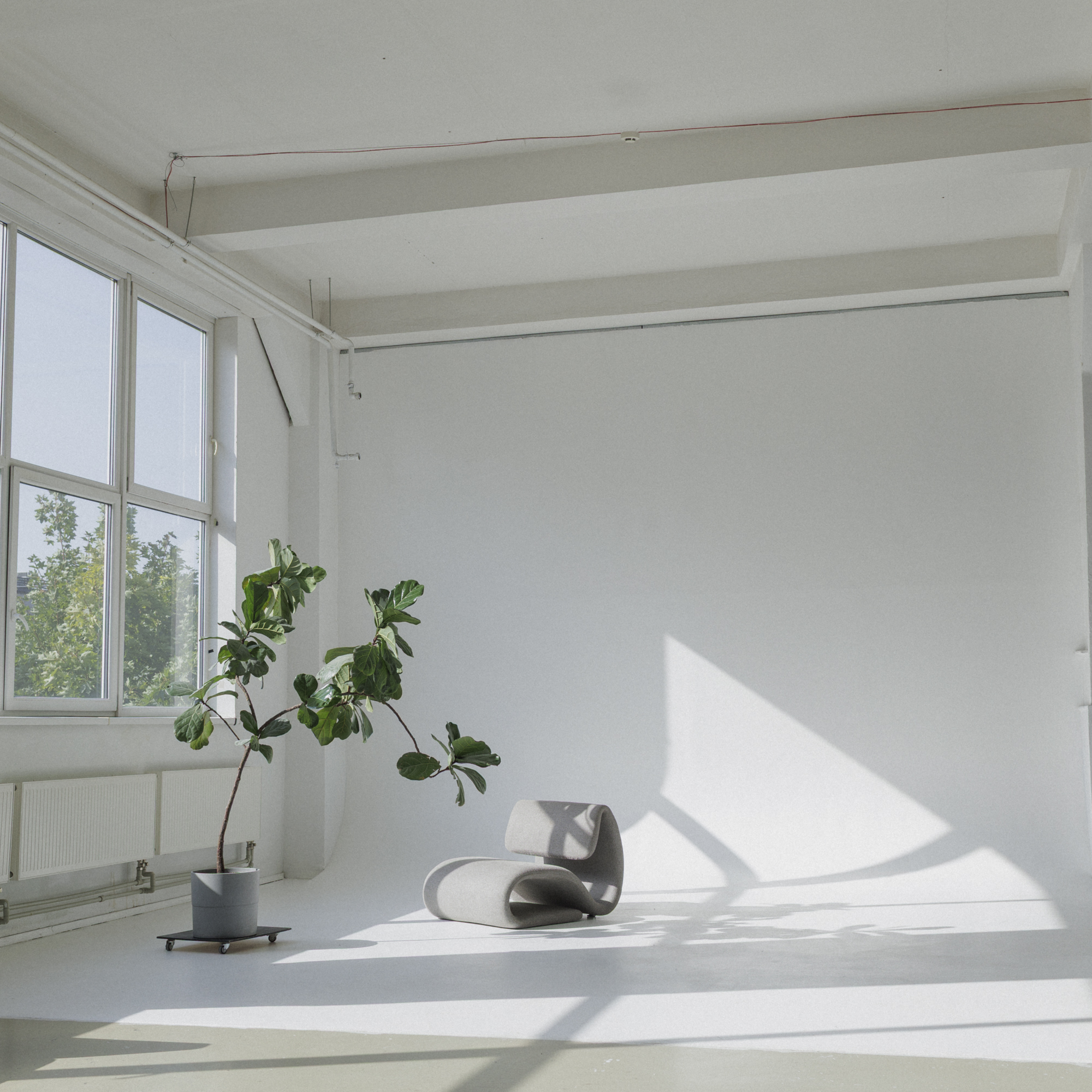 brazzi e studio cyclorama