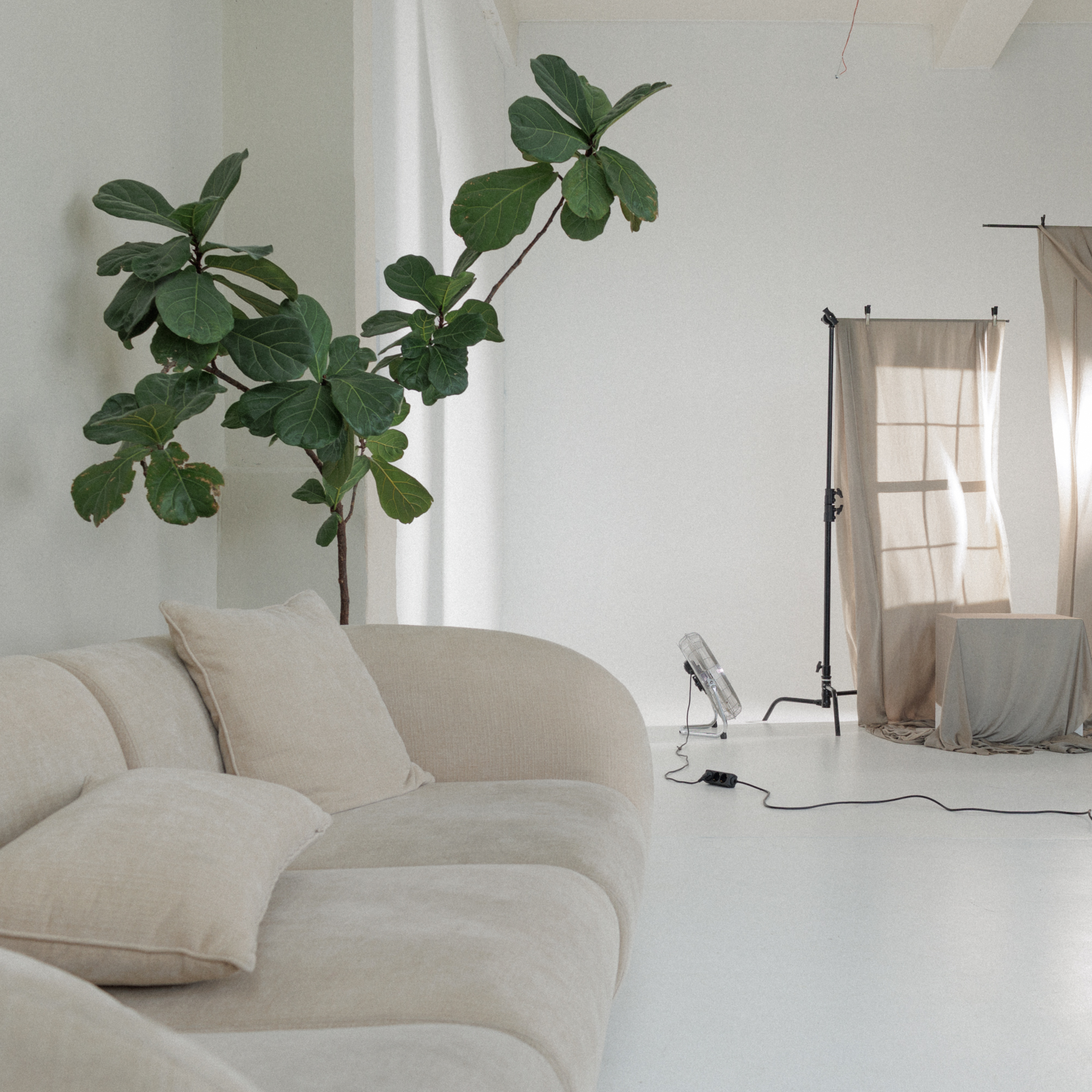 brazzi studio a hall