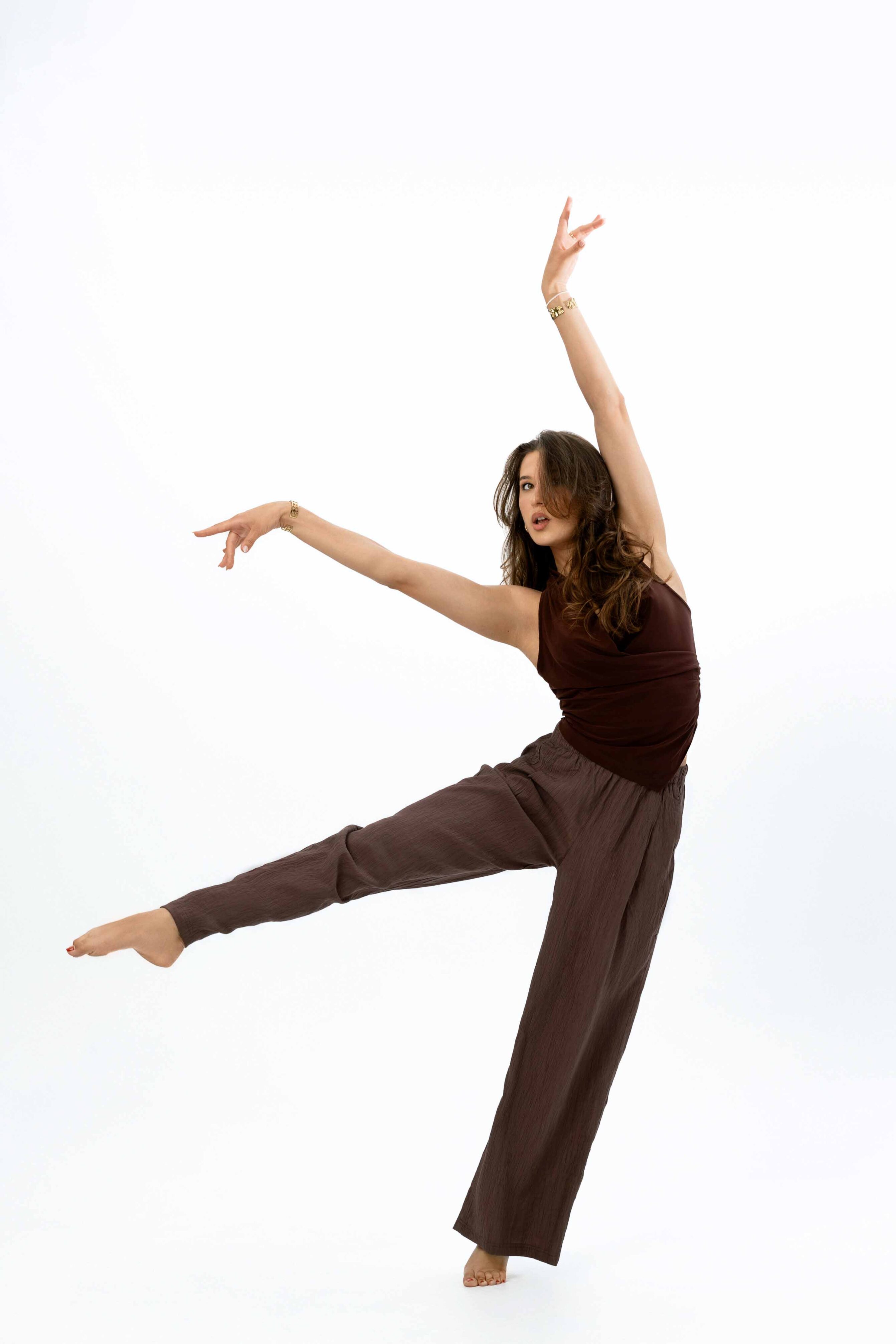 siaure zirmunai studija