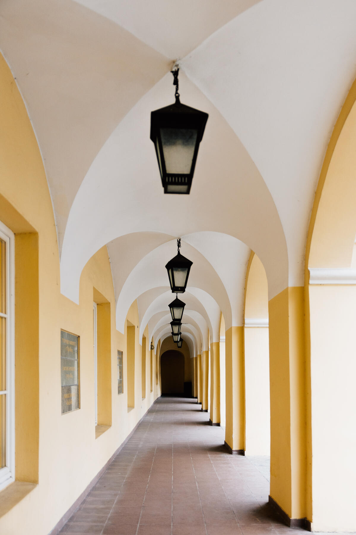 vilniaus universitetas