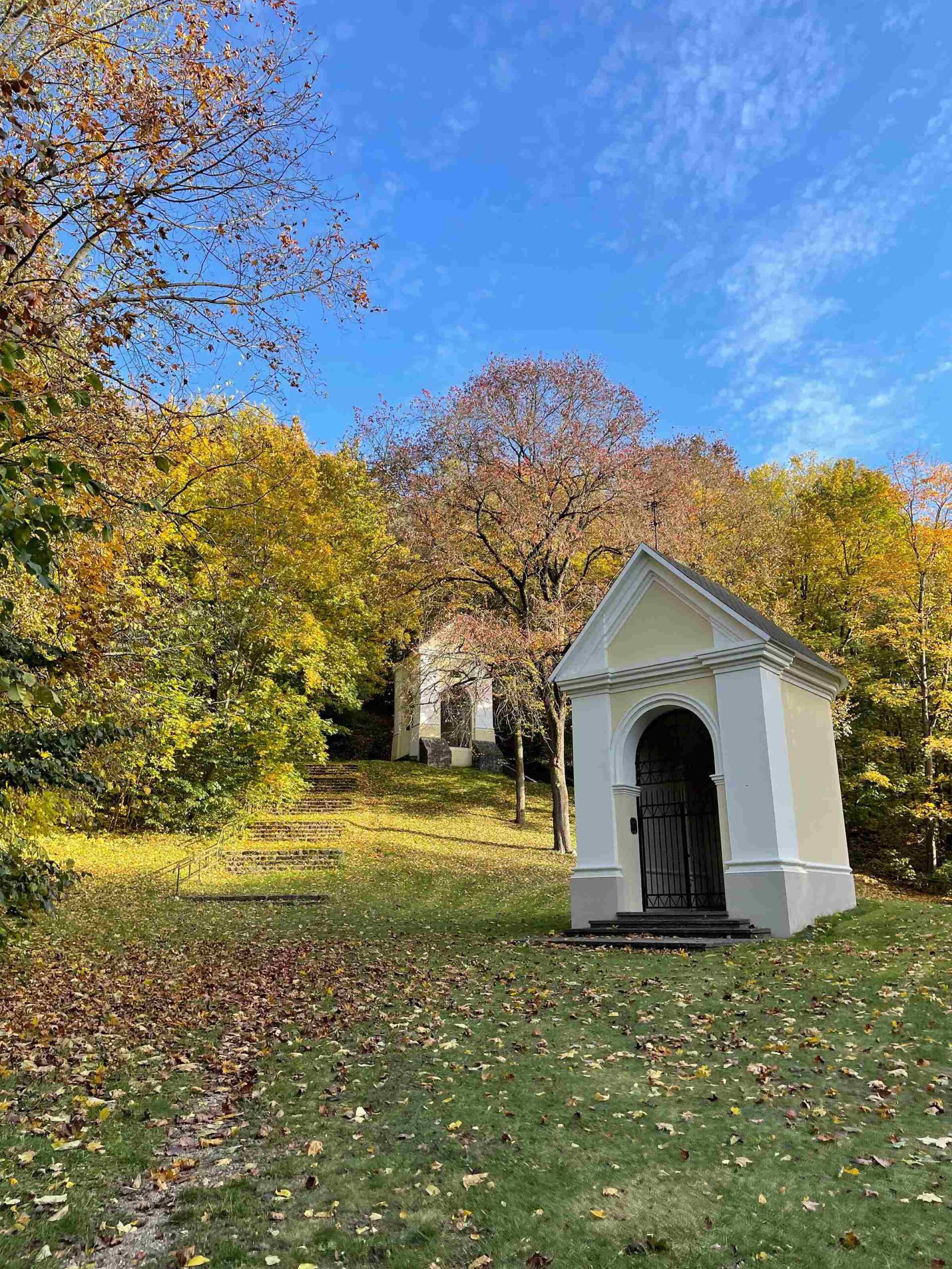 alyvu kalnelis verkiai