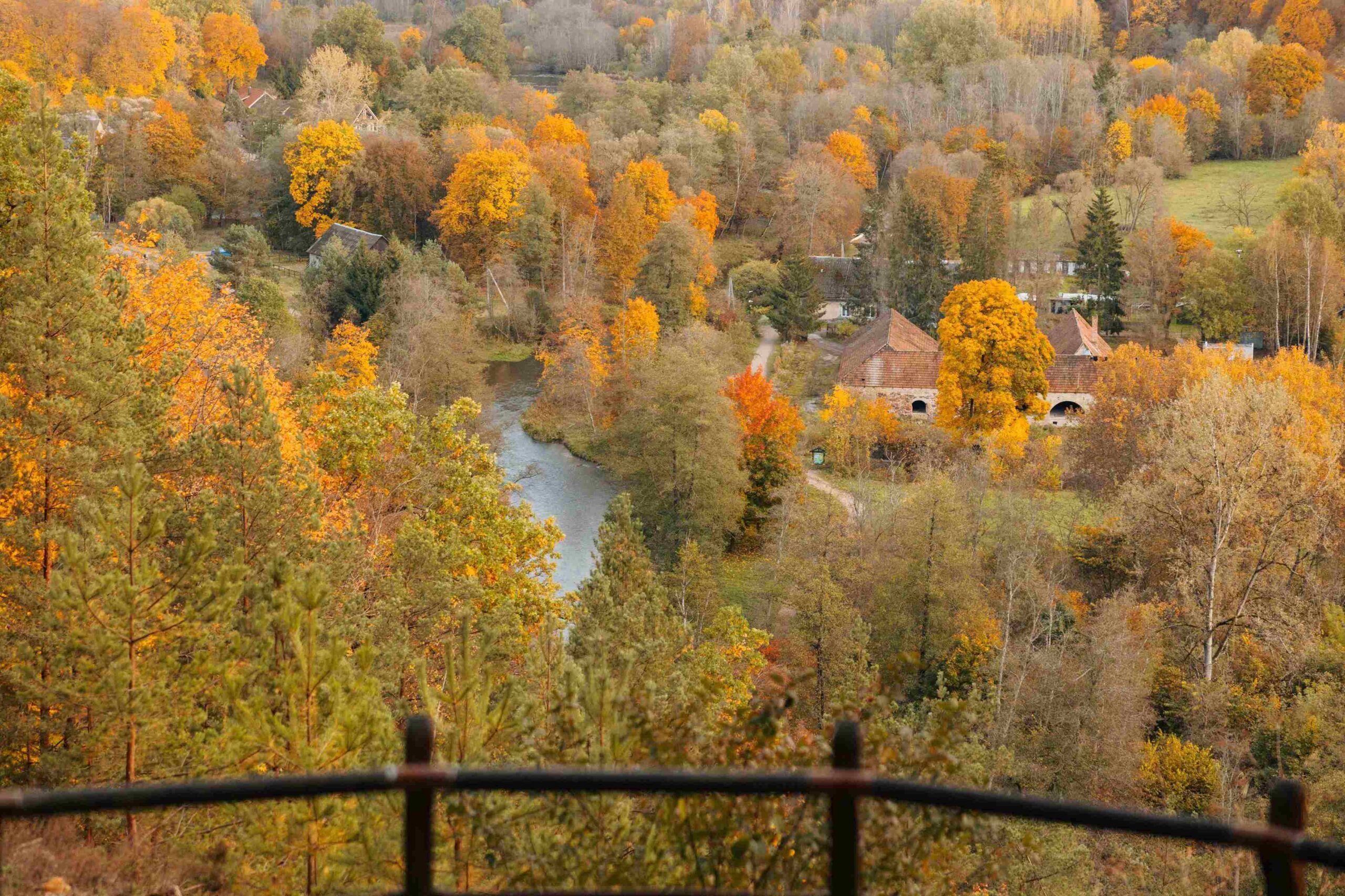 belmontas nuo puckoriu atodangos ruduo