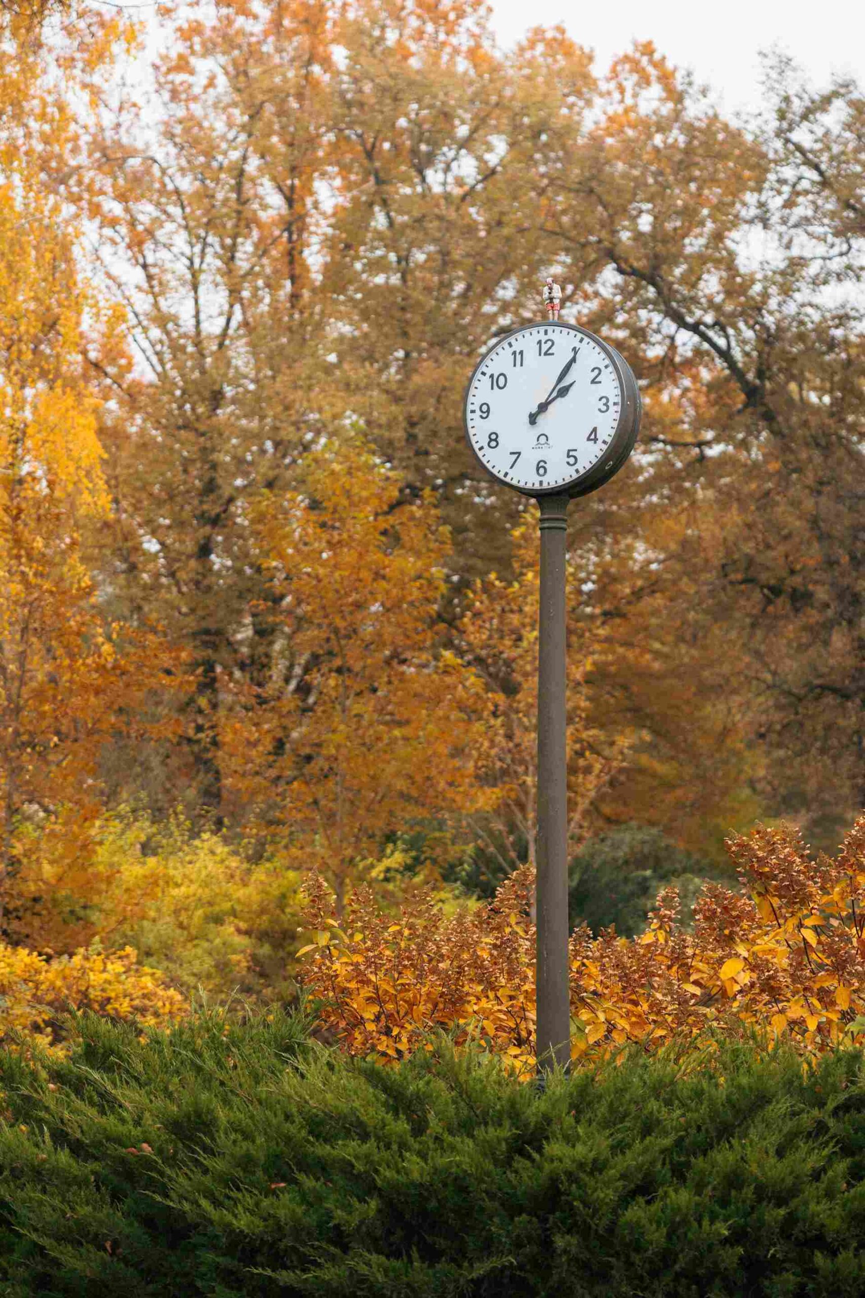 bernardine garden autumn vilnius