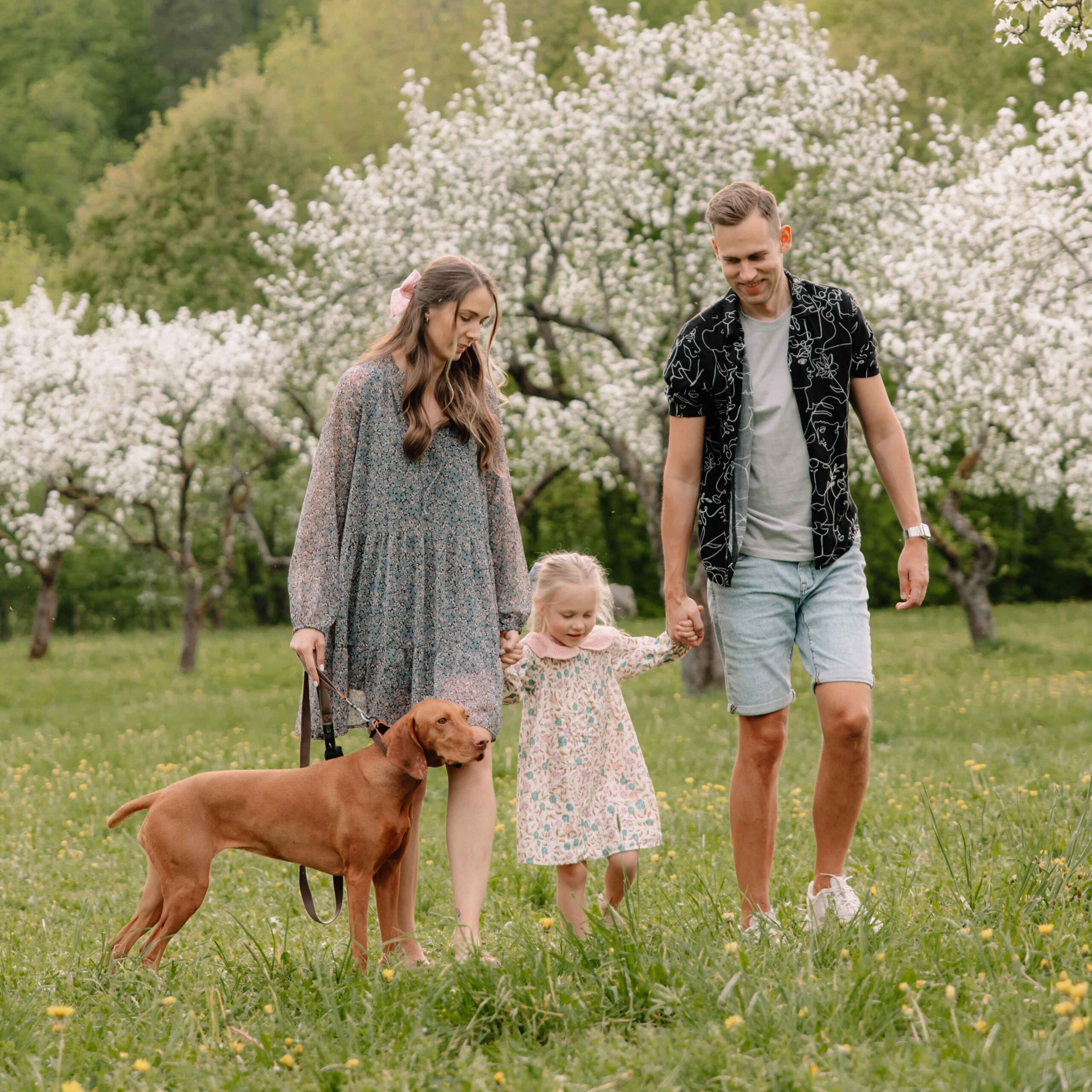 vestuvinė fotosesija kauno mieste