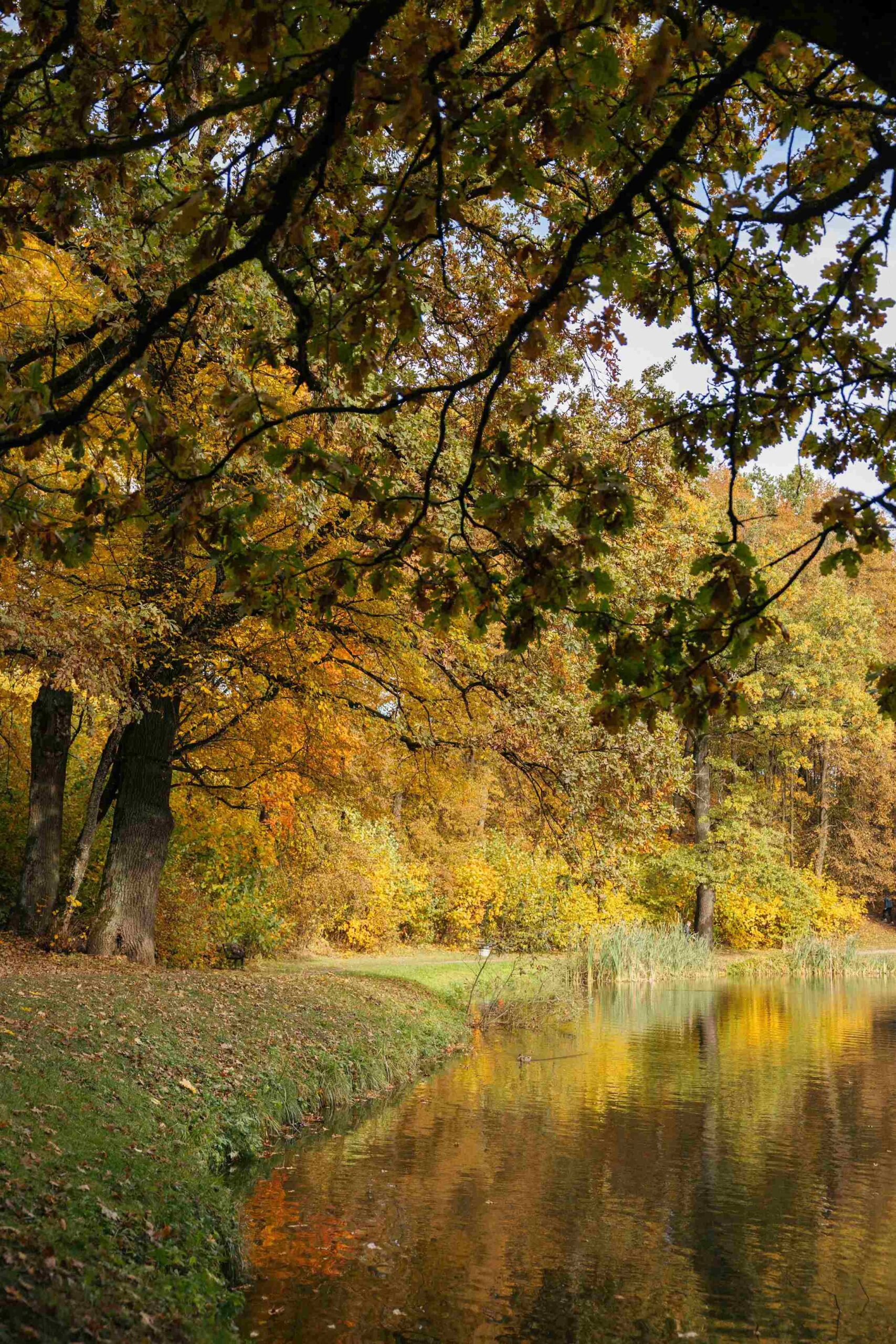fotosesija pavilnyje rudeni