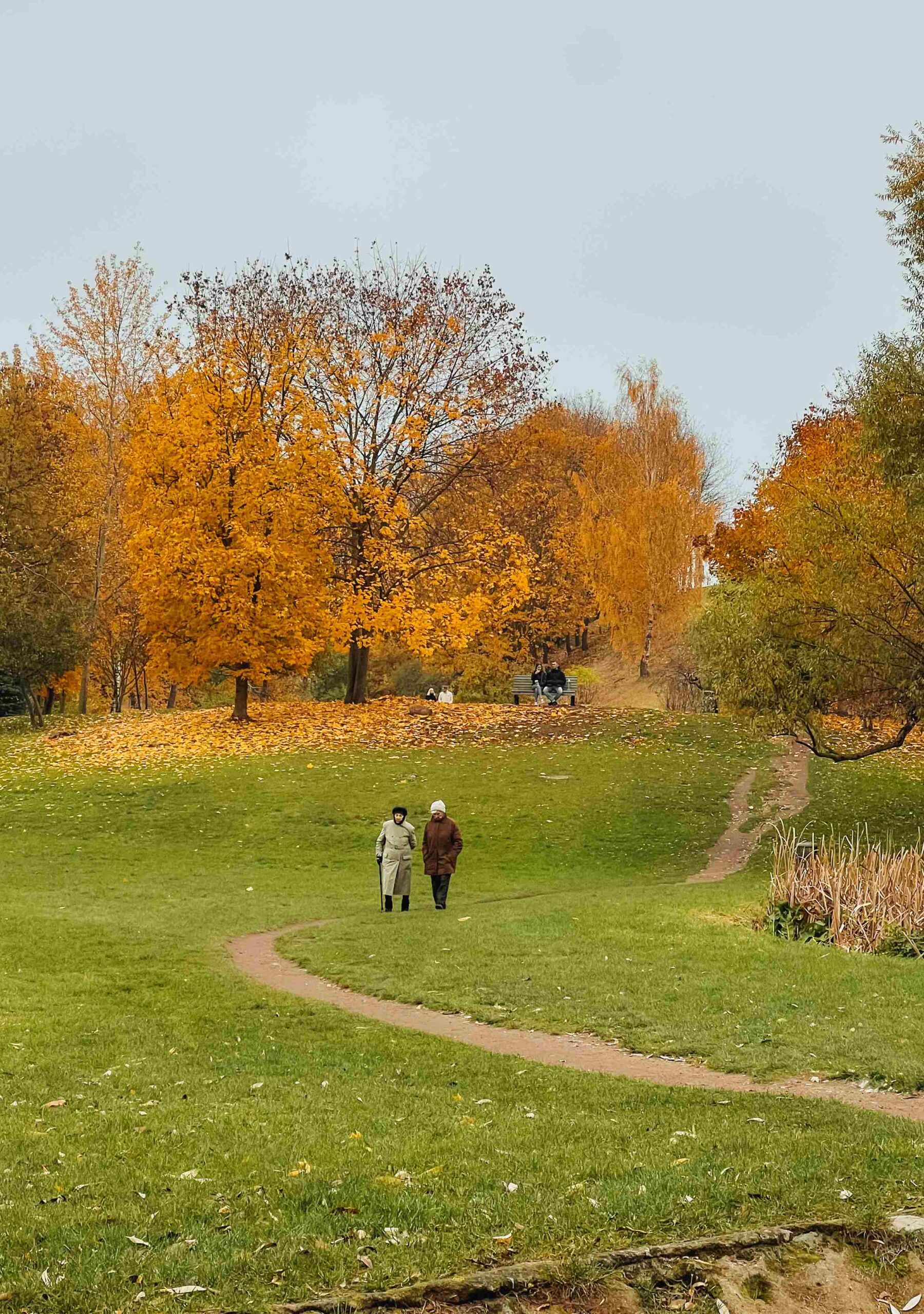 kudru park autumn