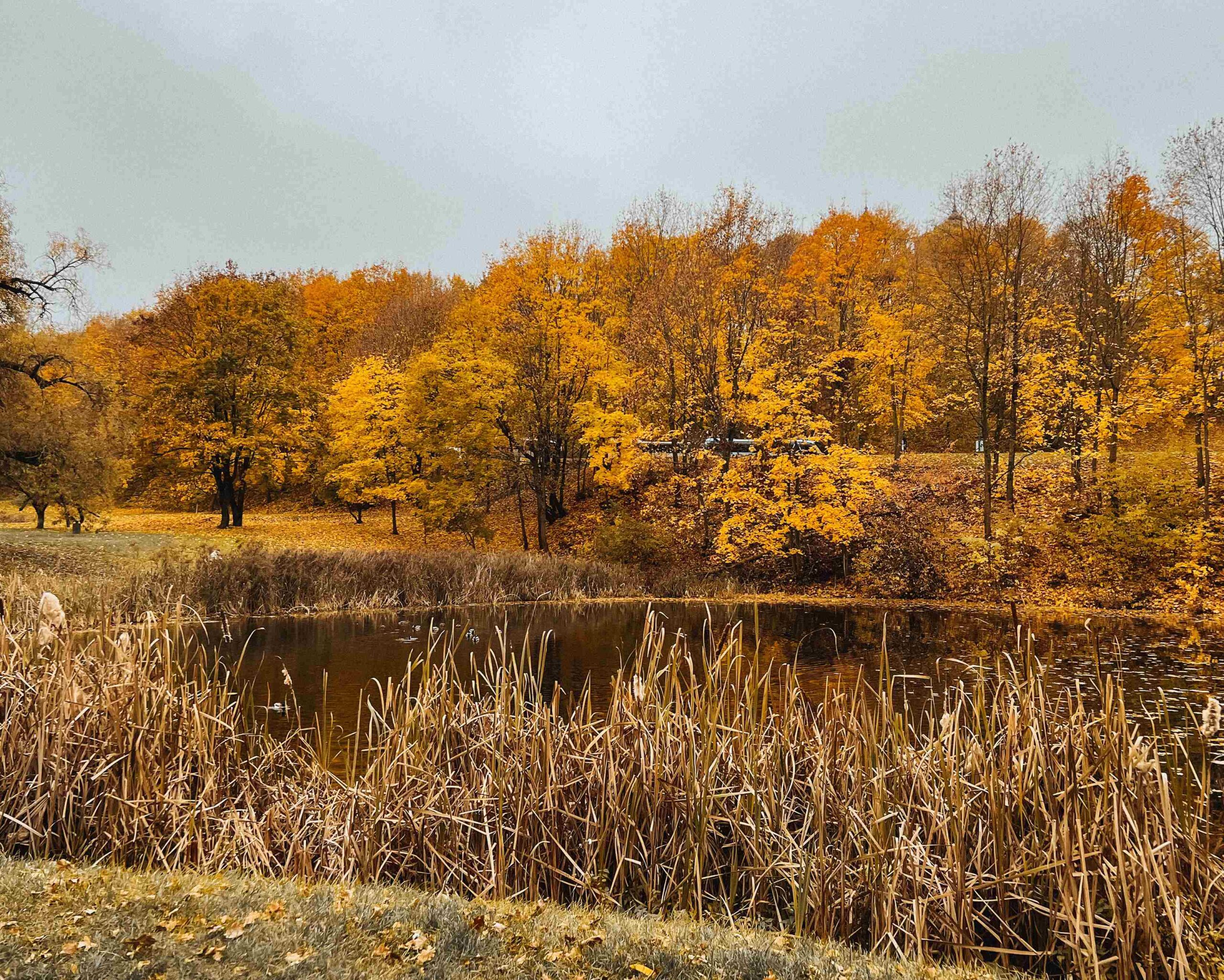 kudru parkas vilnius ruduo