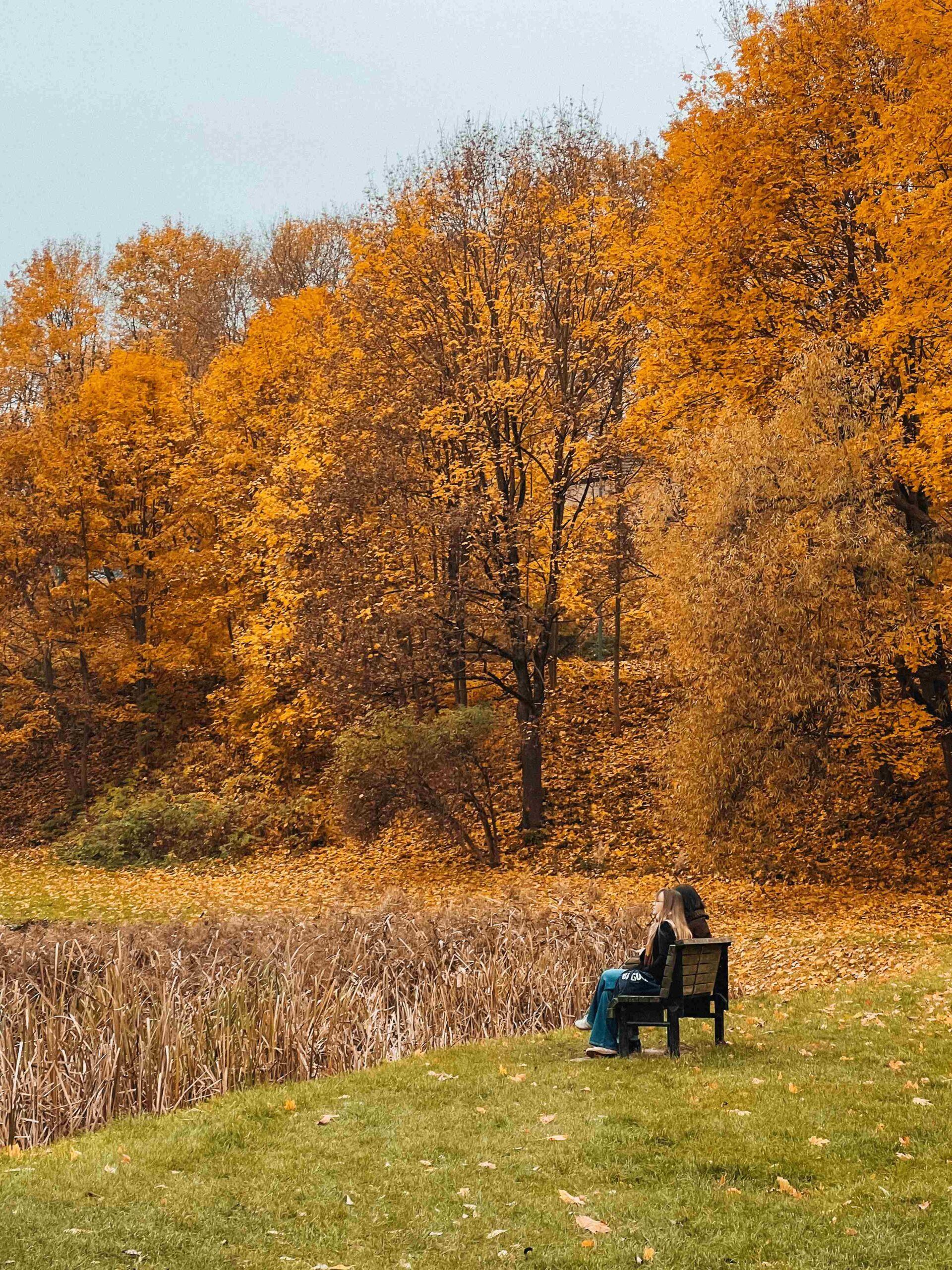kudru parkas vilnius