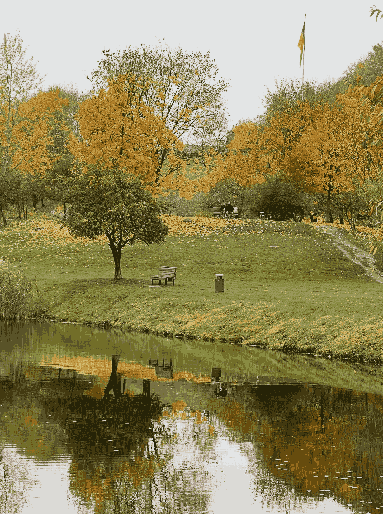 kudru parkelis prudas ruduo