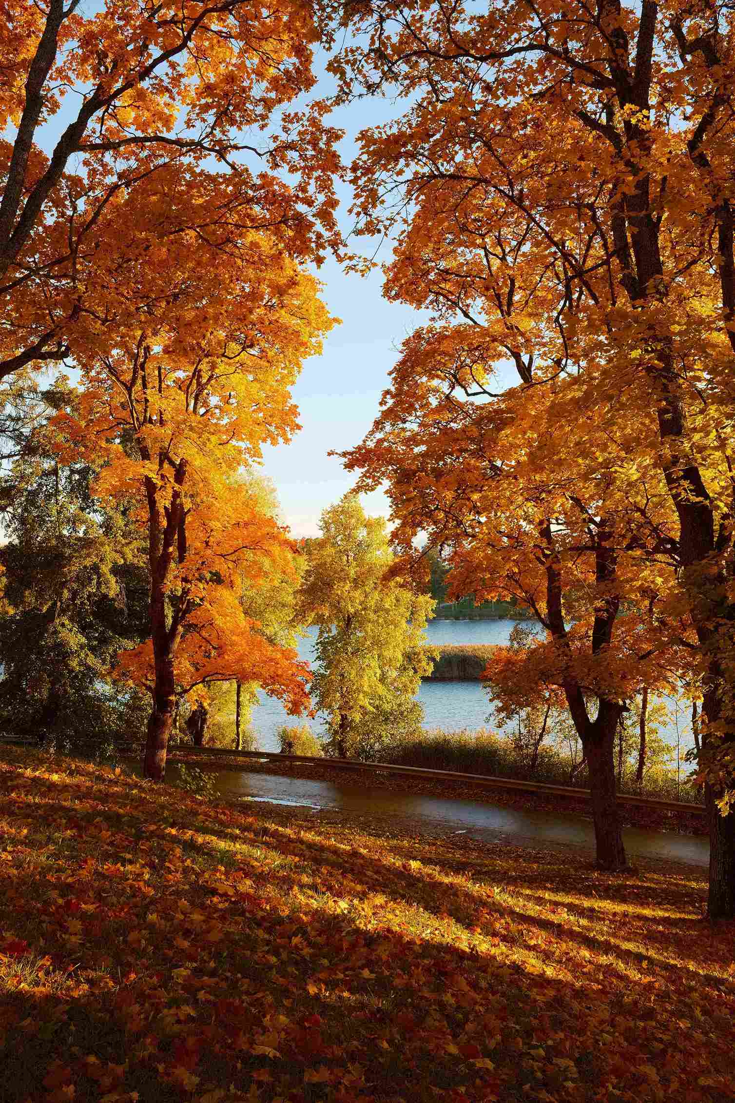 lentvario dvaras rudeni