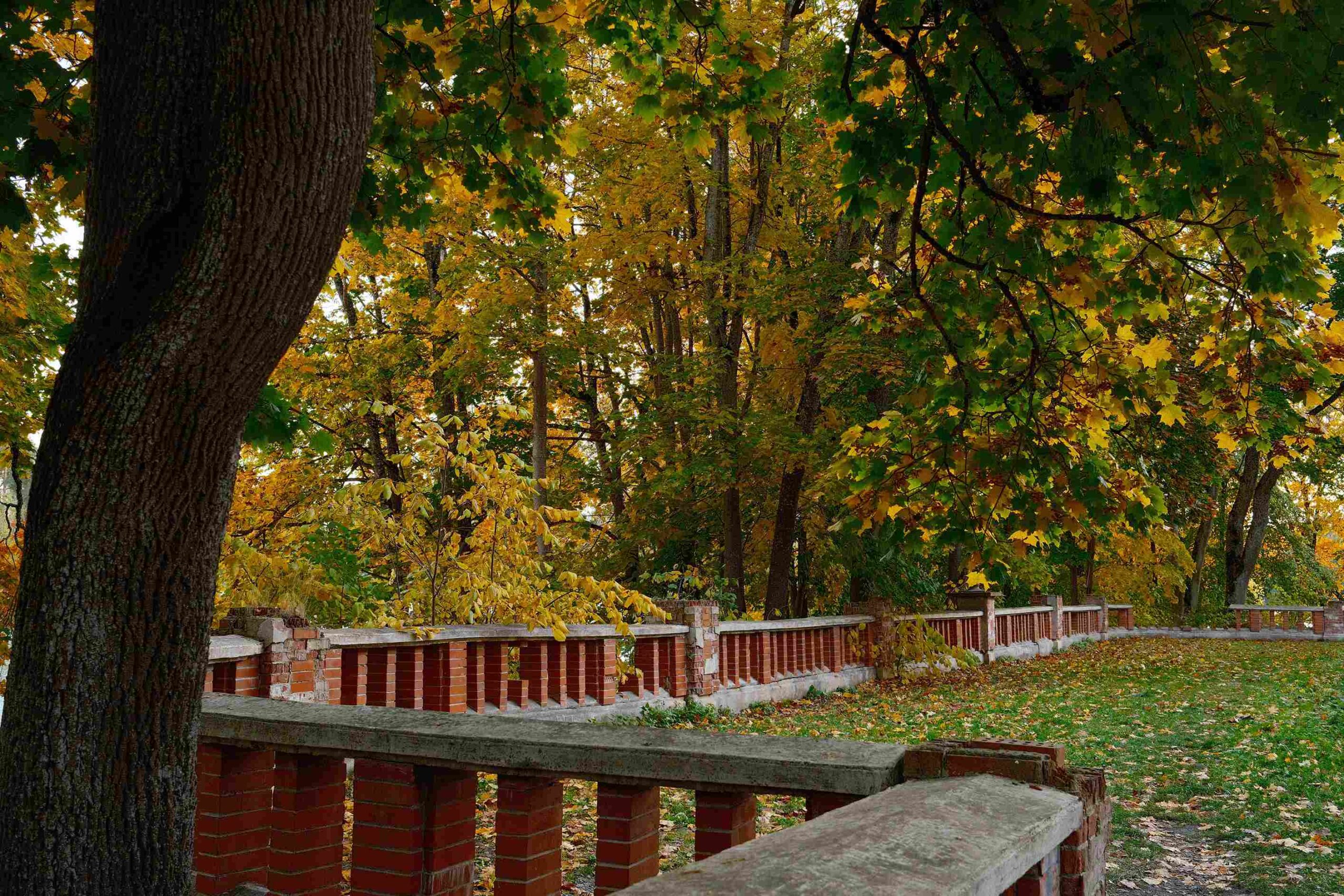 lentvario parkas ruduo