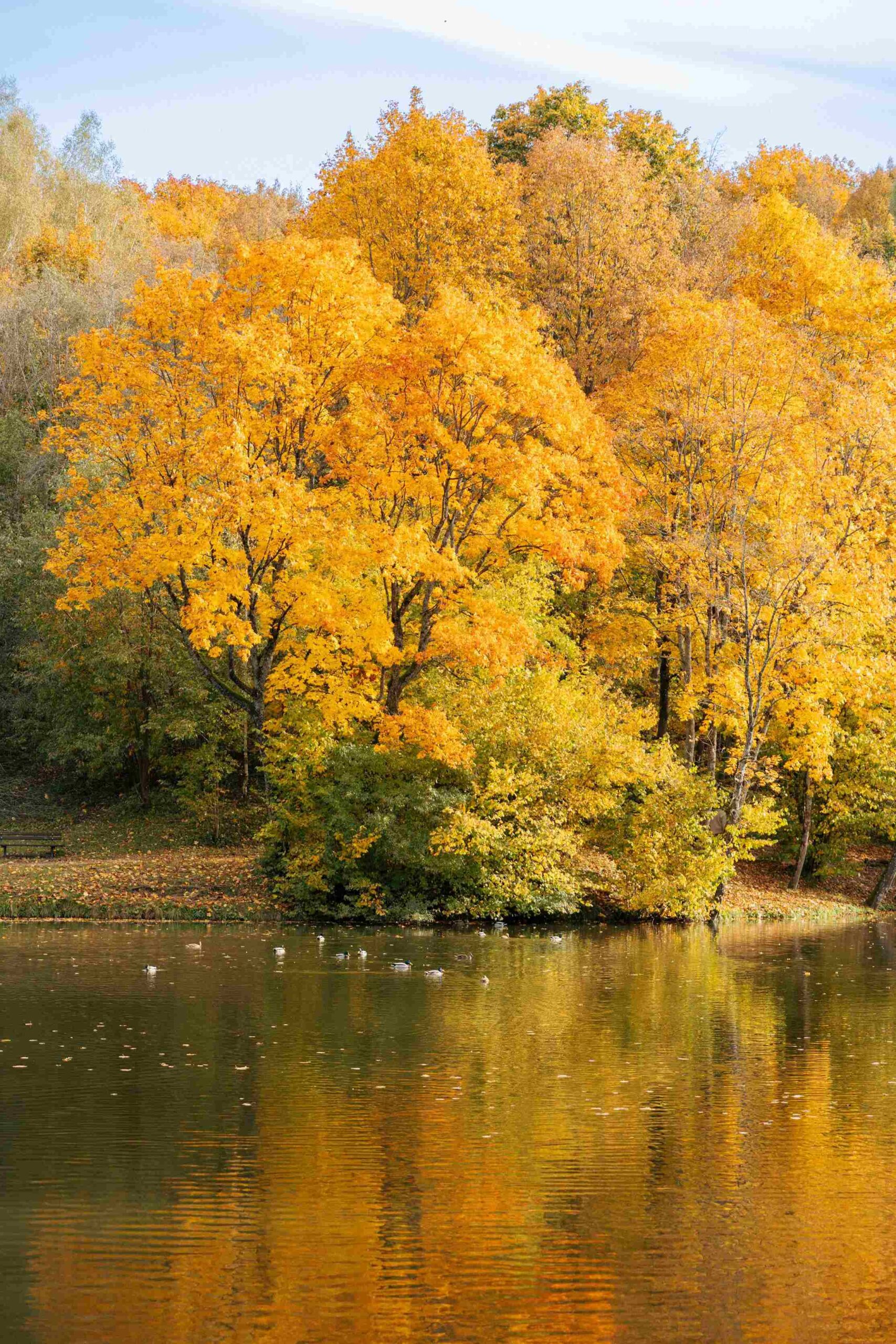 markuciu parkas rudeni fotosesija