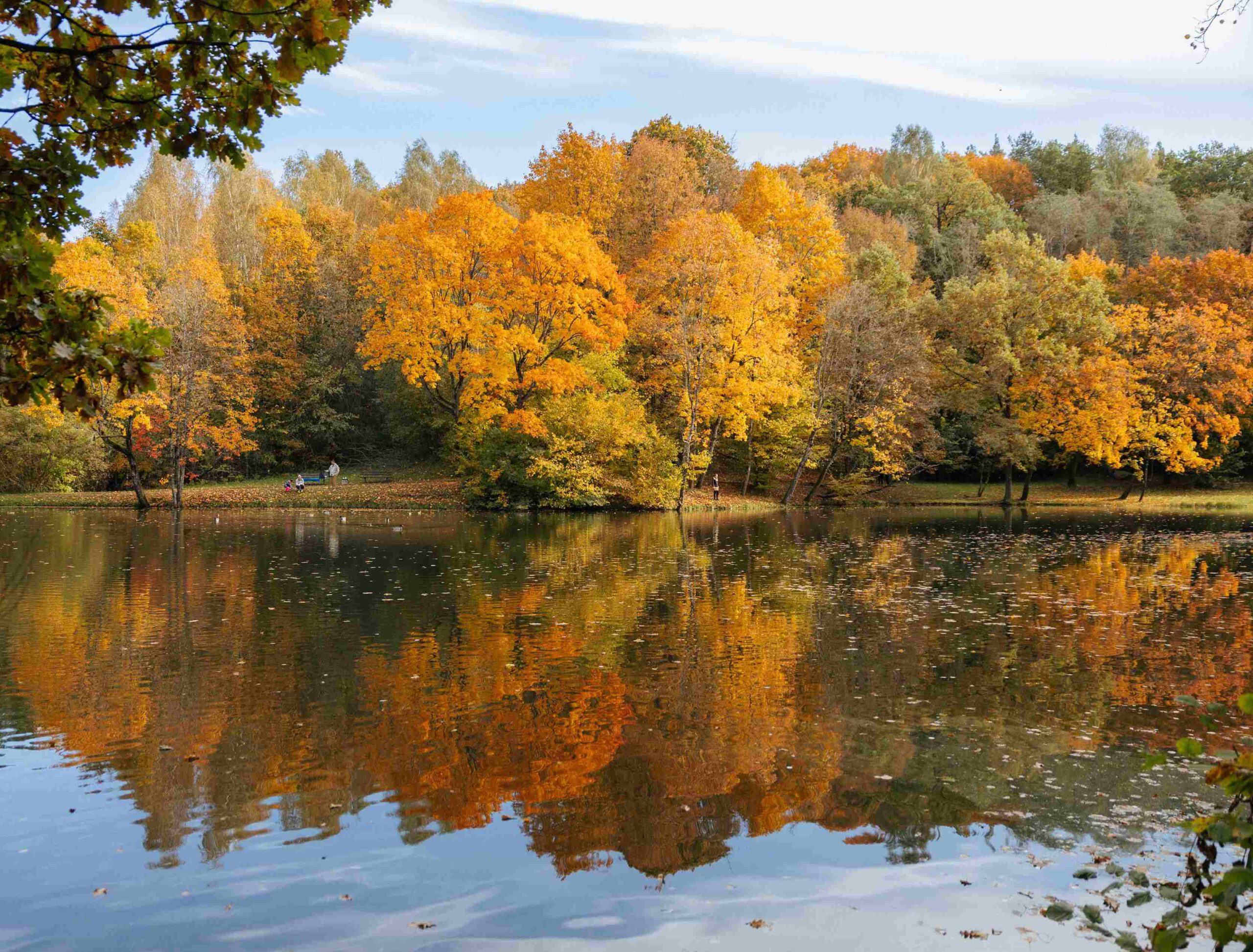 markuciu parkas rudeni