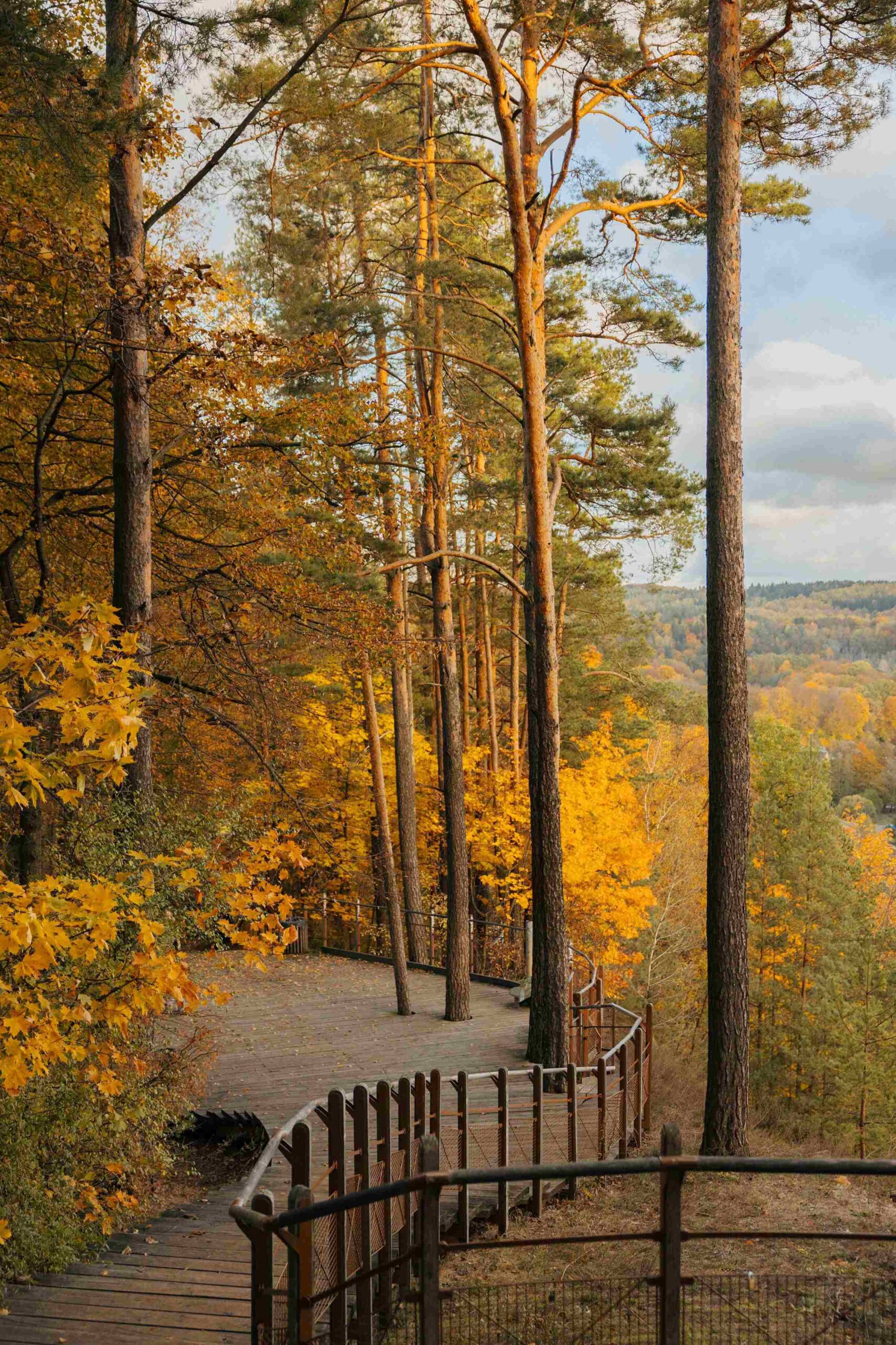 puckoriu atodanga geriausios rudens lokcaijos vilniuje