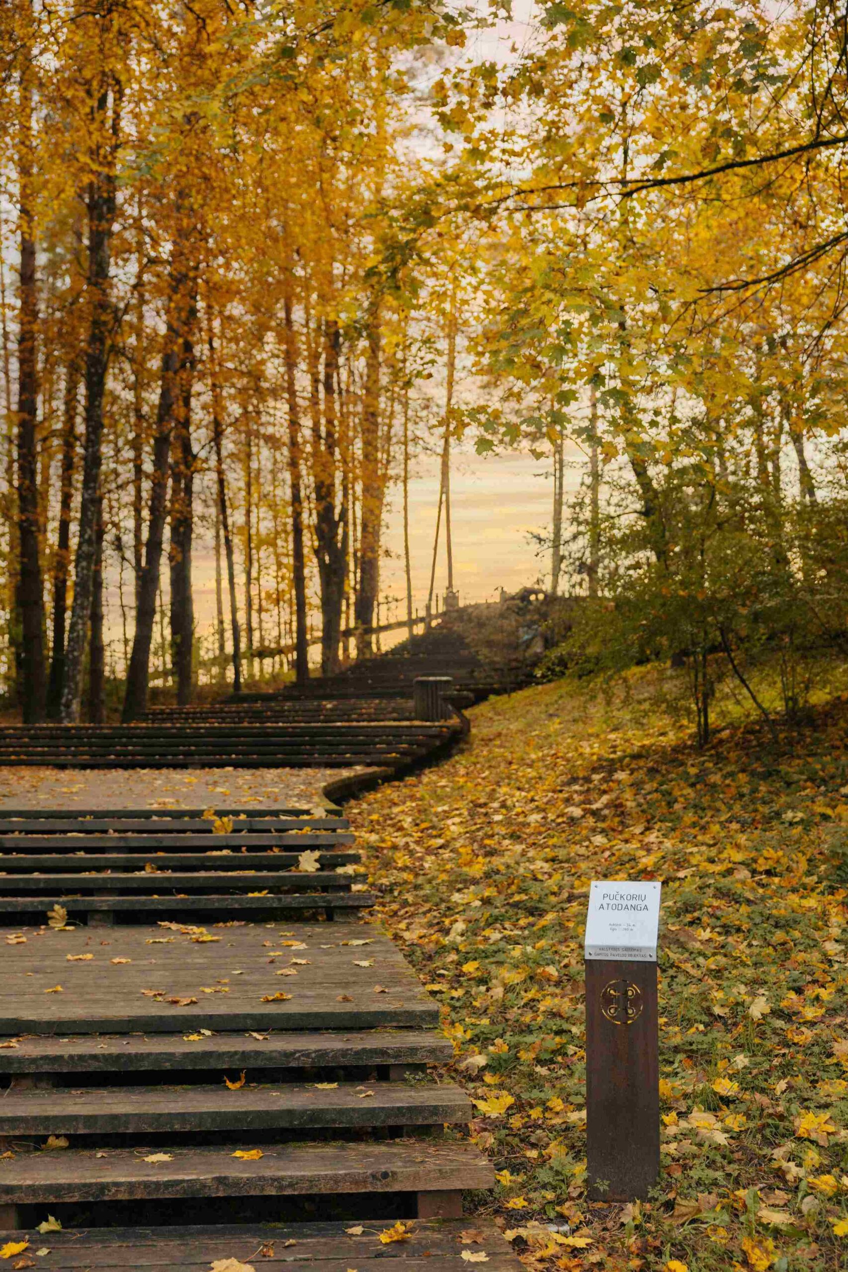 puckoriu atodanga laipteliai