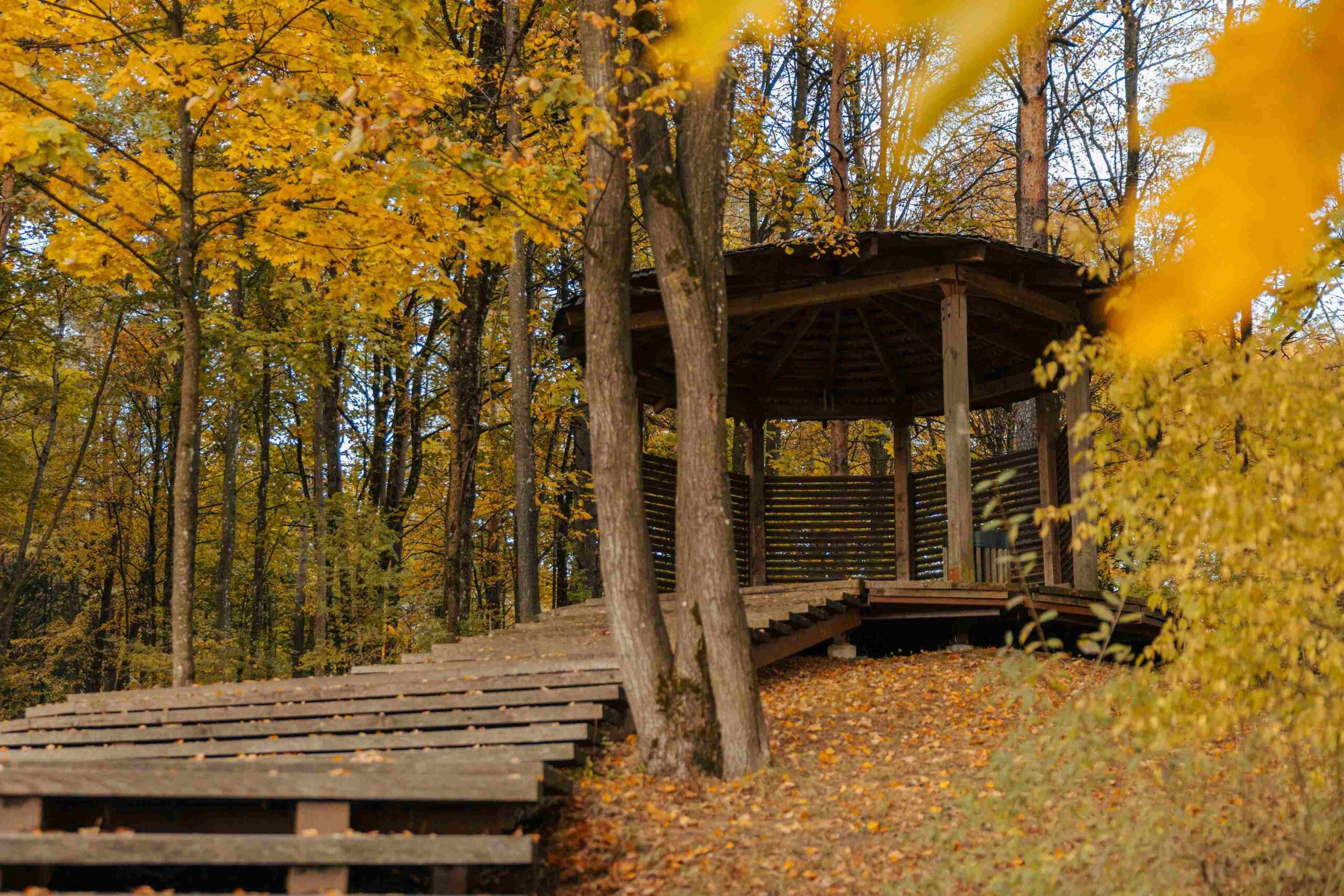 pučkorių atodangos terasa