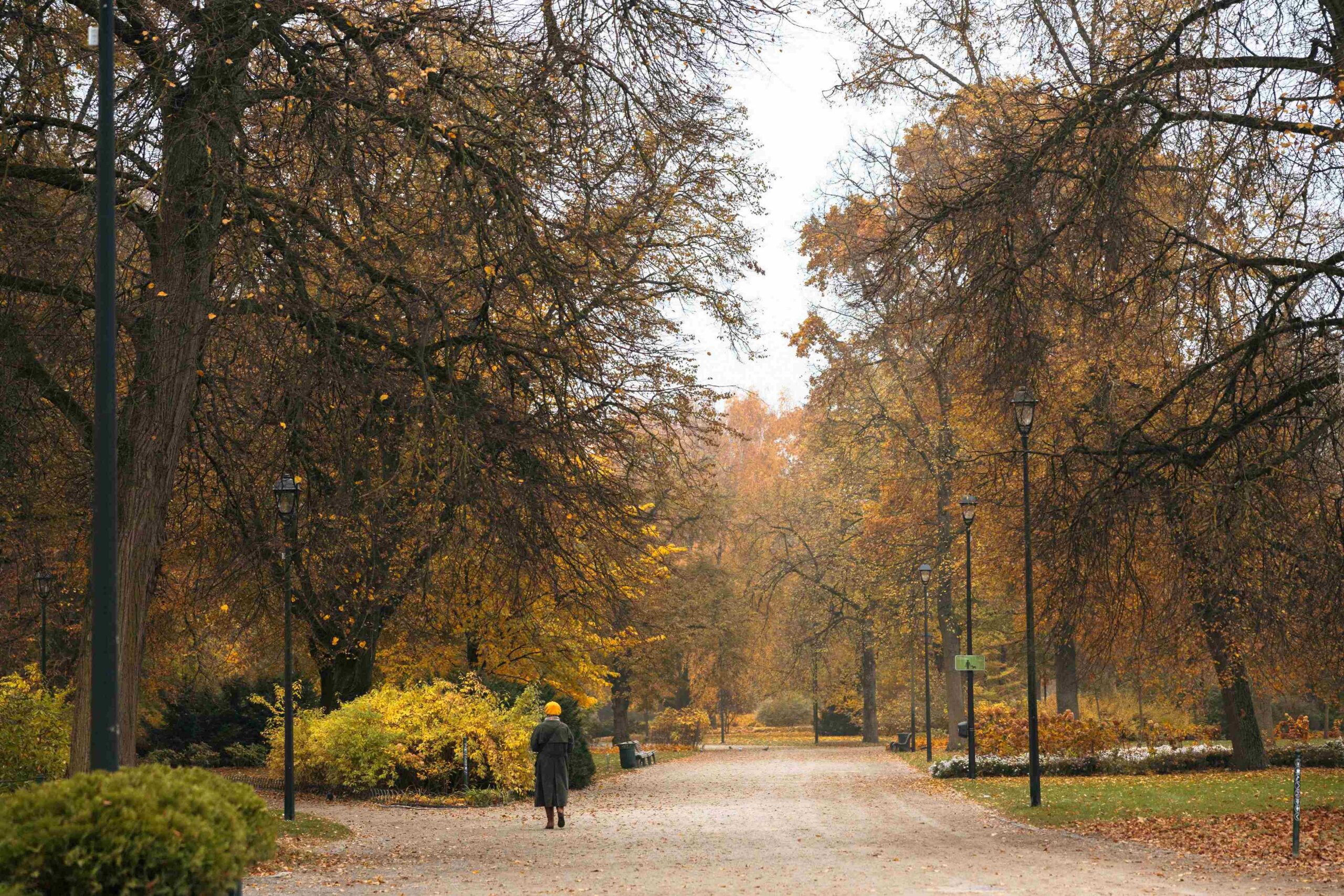 rudeninis parkas bernardinai miesto centre ruduo