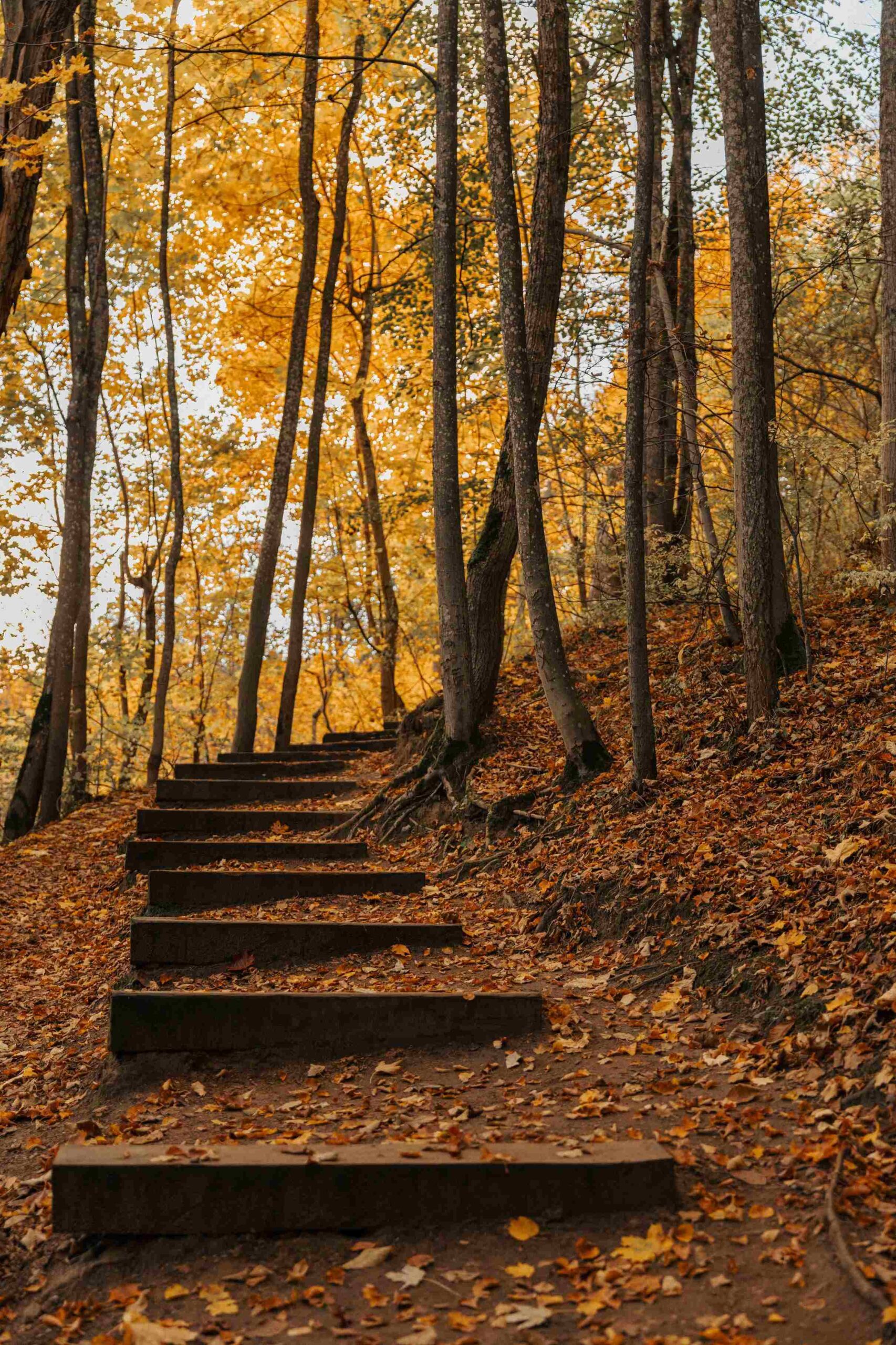 takas aplink vilniu ruduo pučkoriai