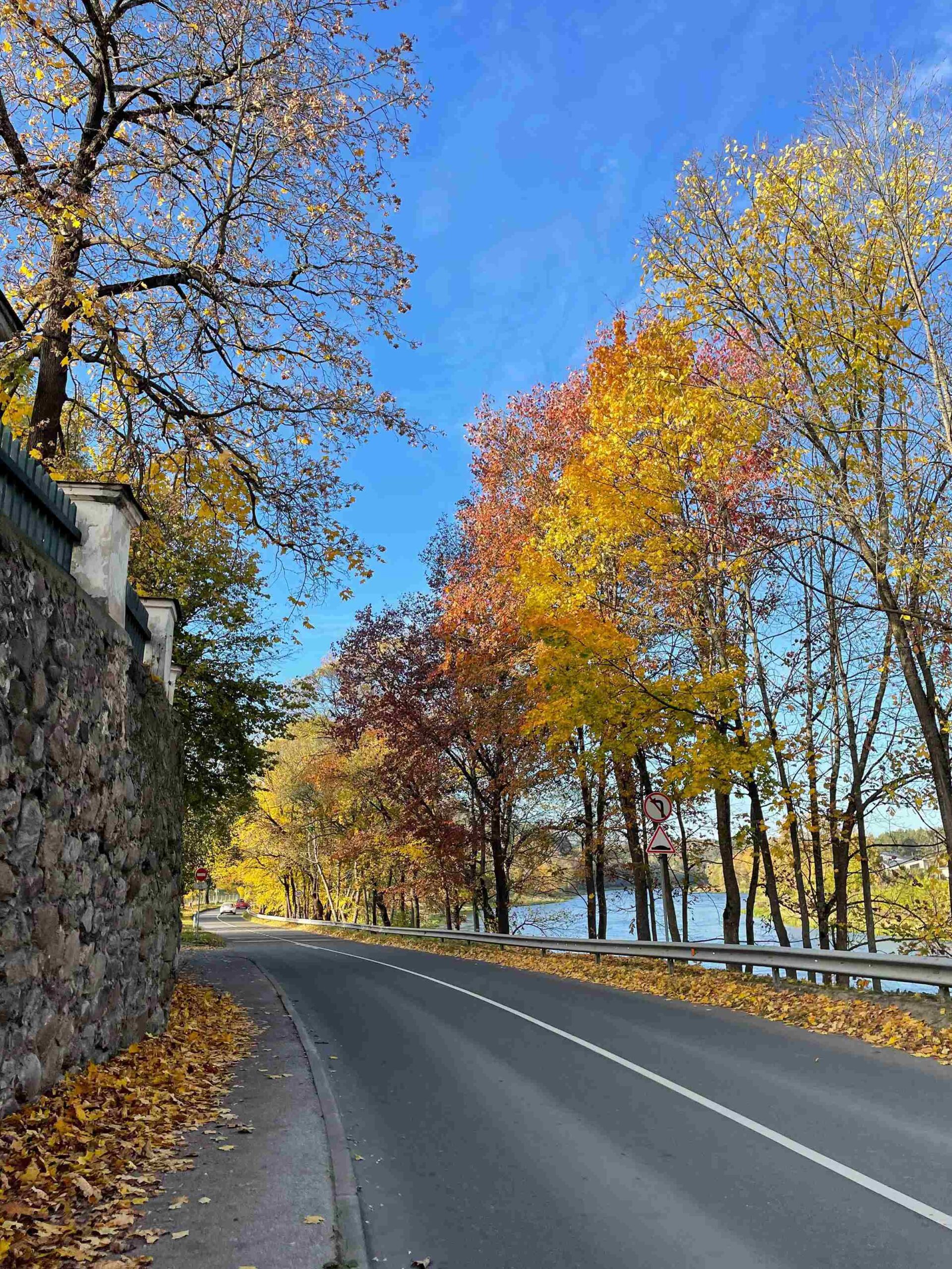 verkiai golden autumn road