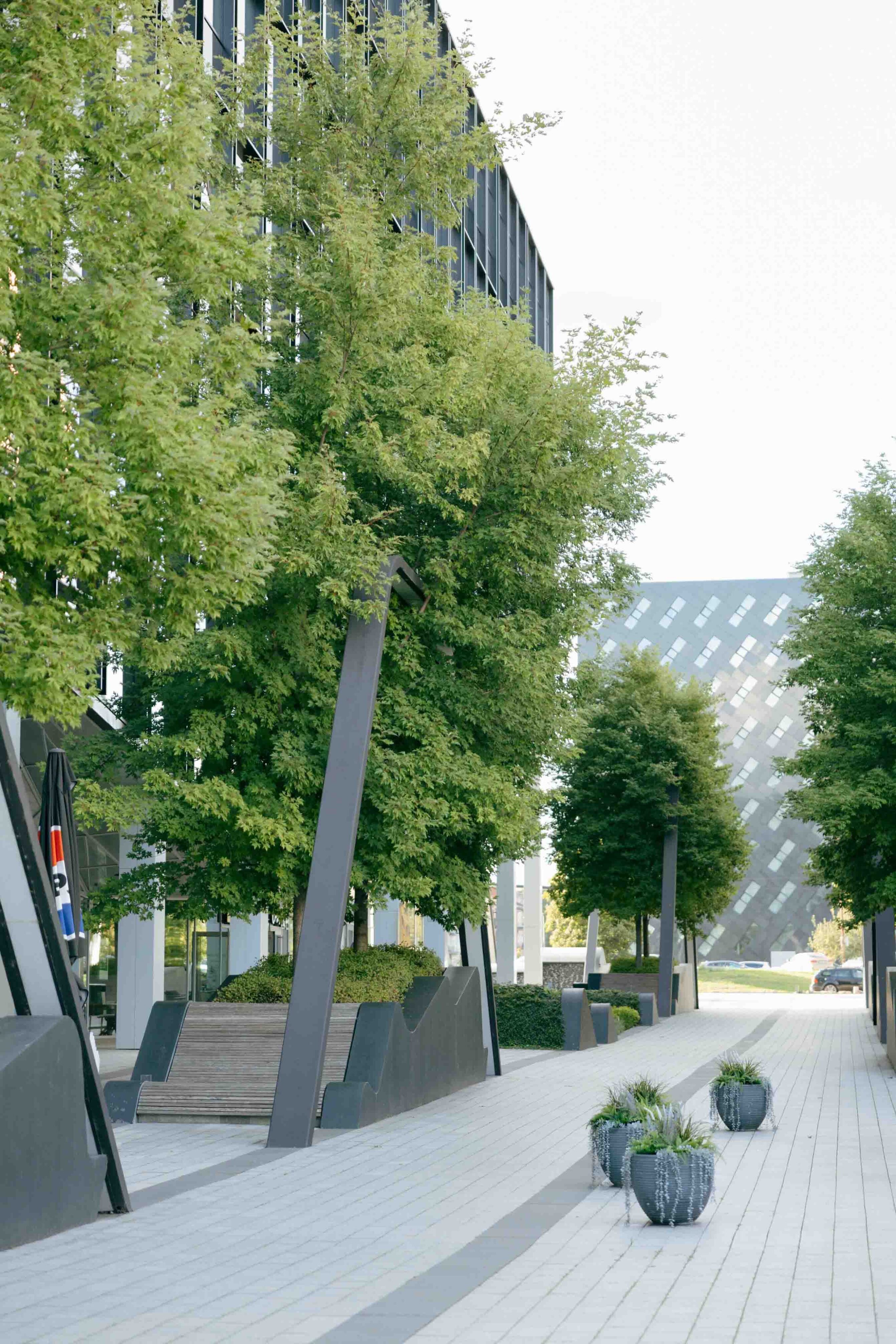 modernios lokacijos fotosesija bussines stadium