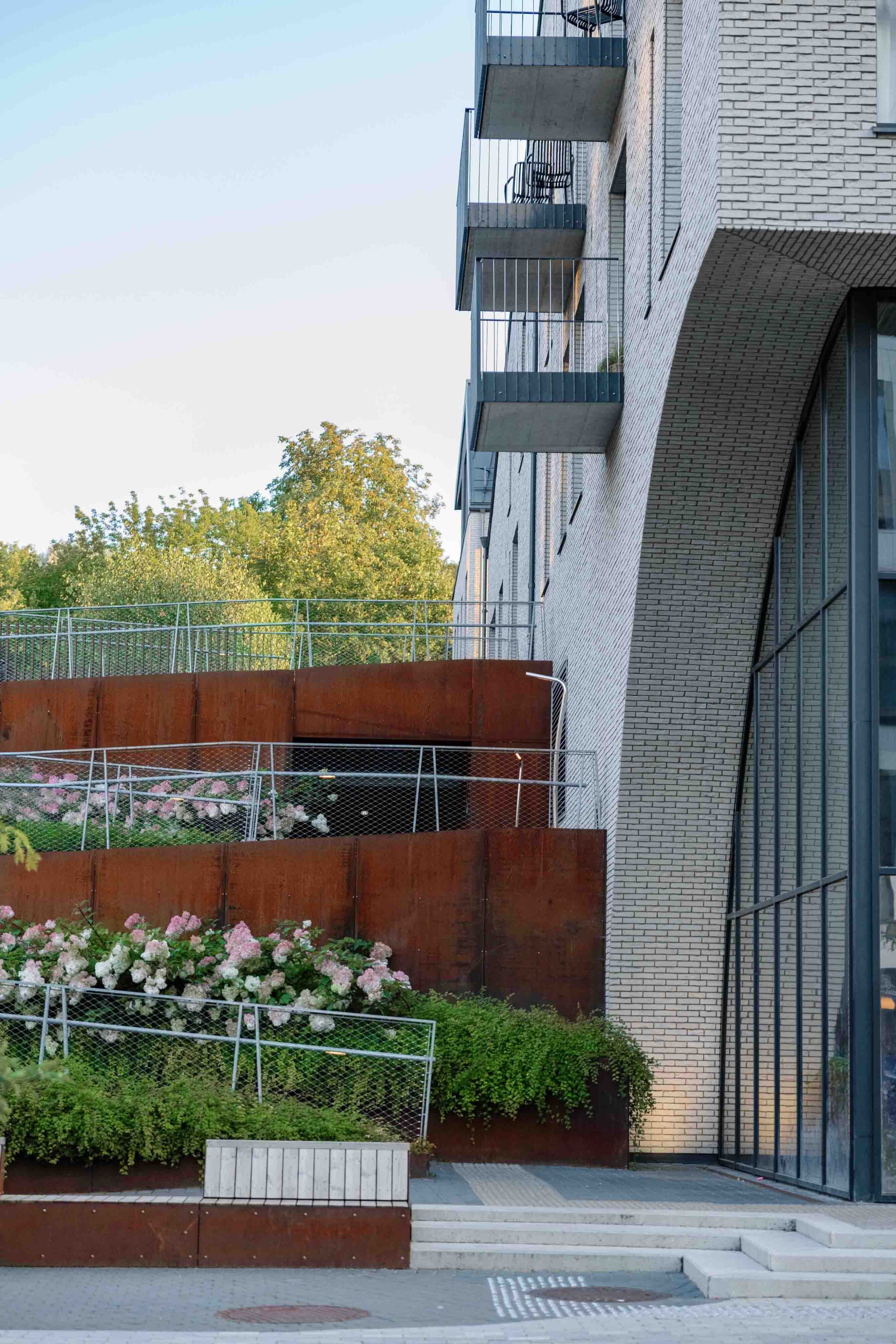 paupis modernios erdves fotosesijai lauke