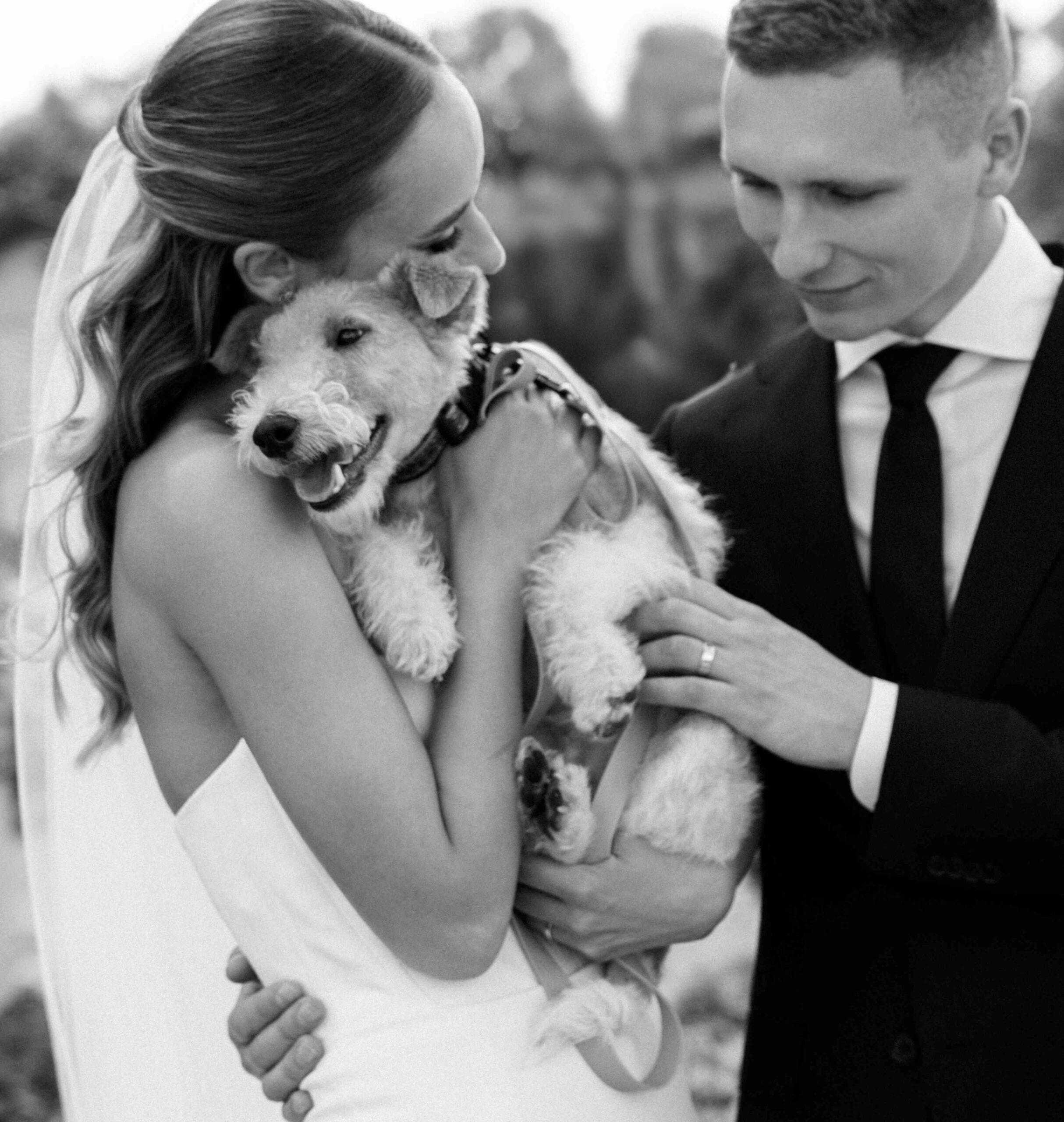 wedding family hug with dog lakeland terrier