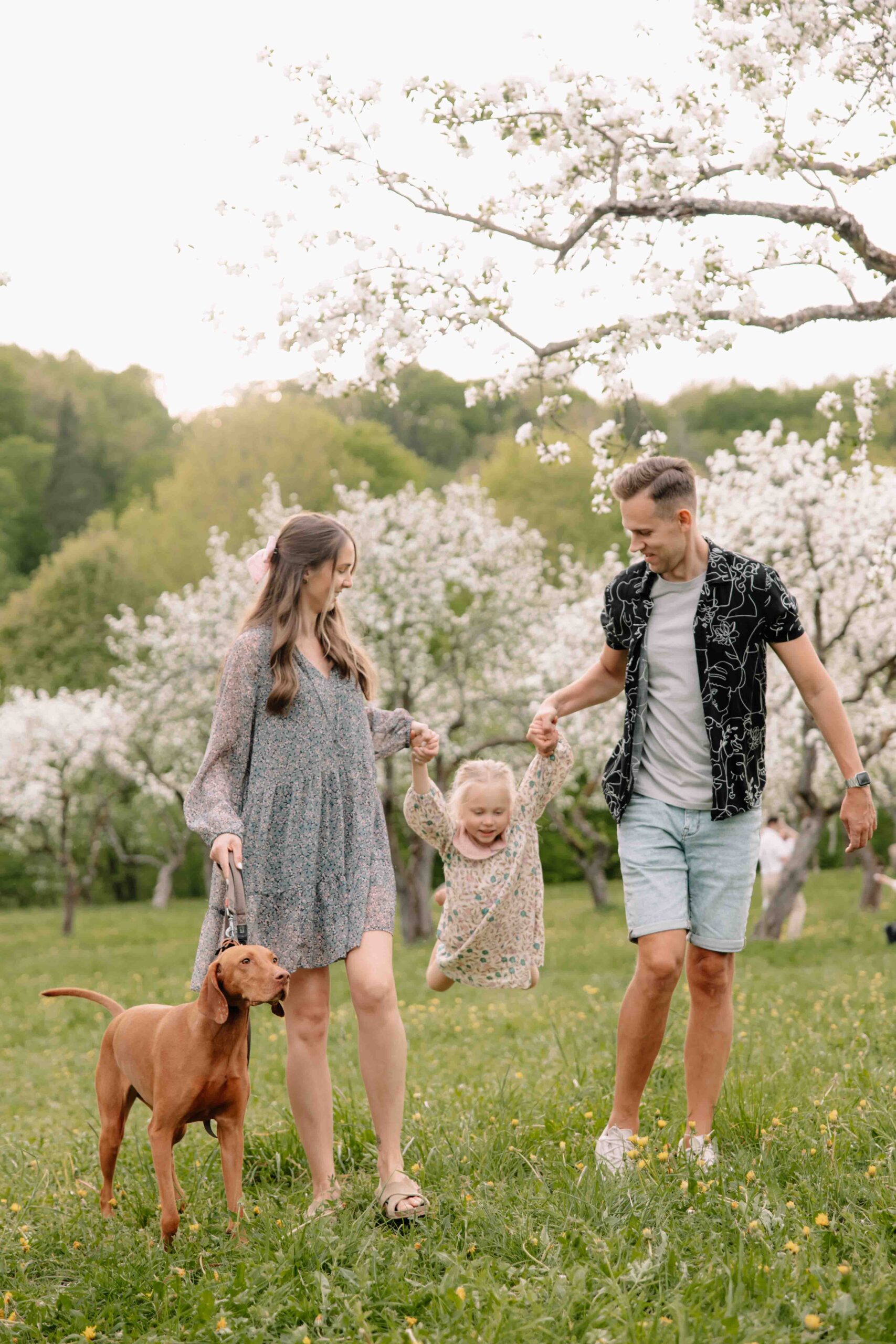 family photoshoot session in kaunas spring sakuras blooming