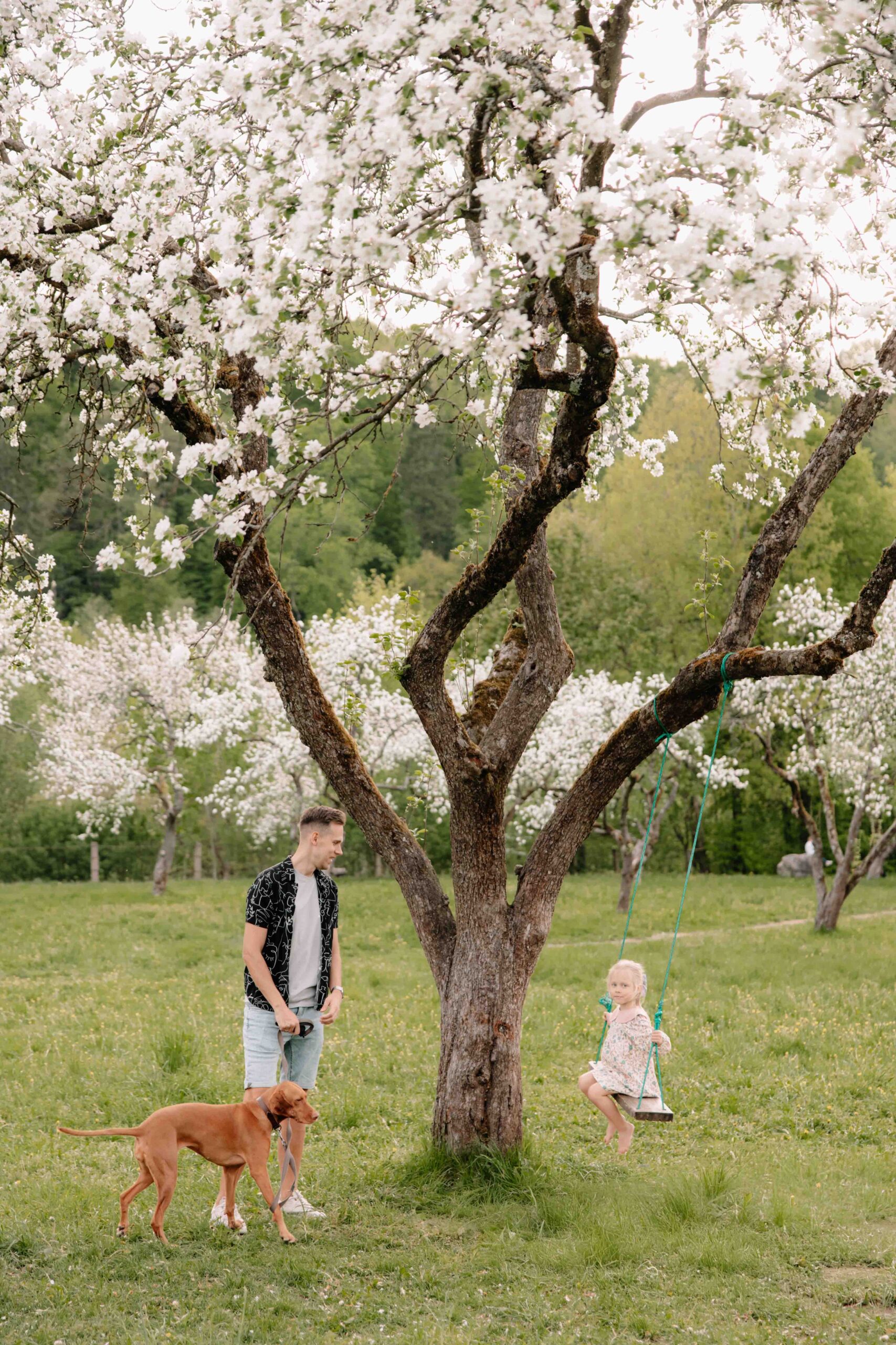 fotosesija zydinciu obelu sode