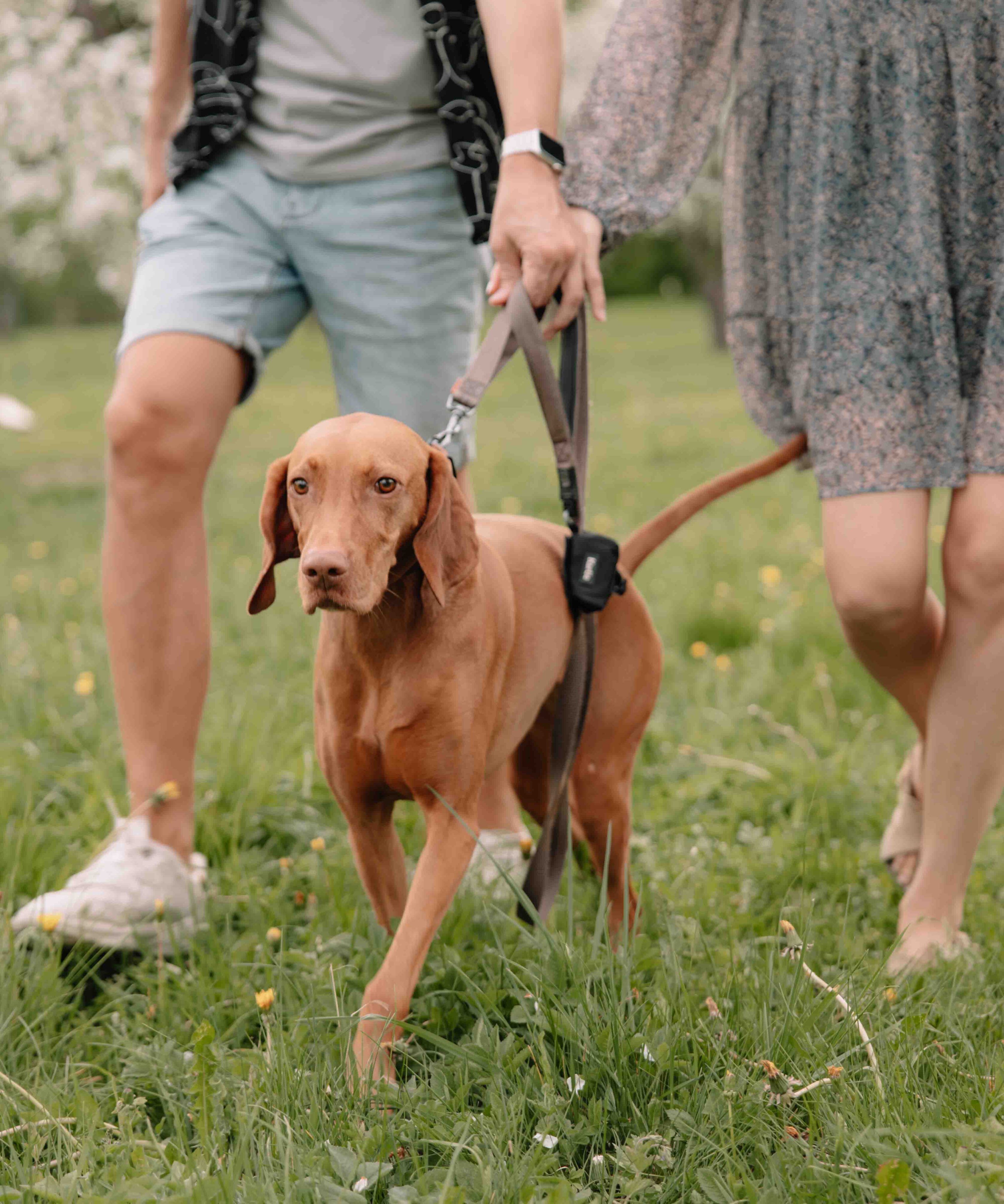 seimos su suniu fotosesija parke