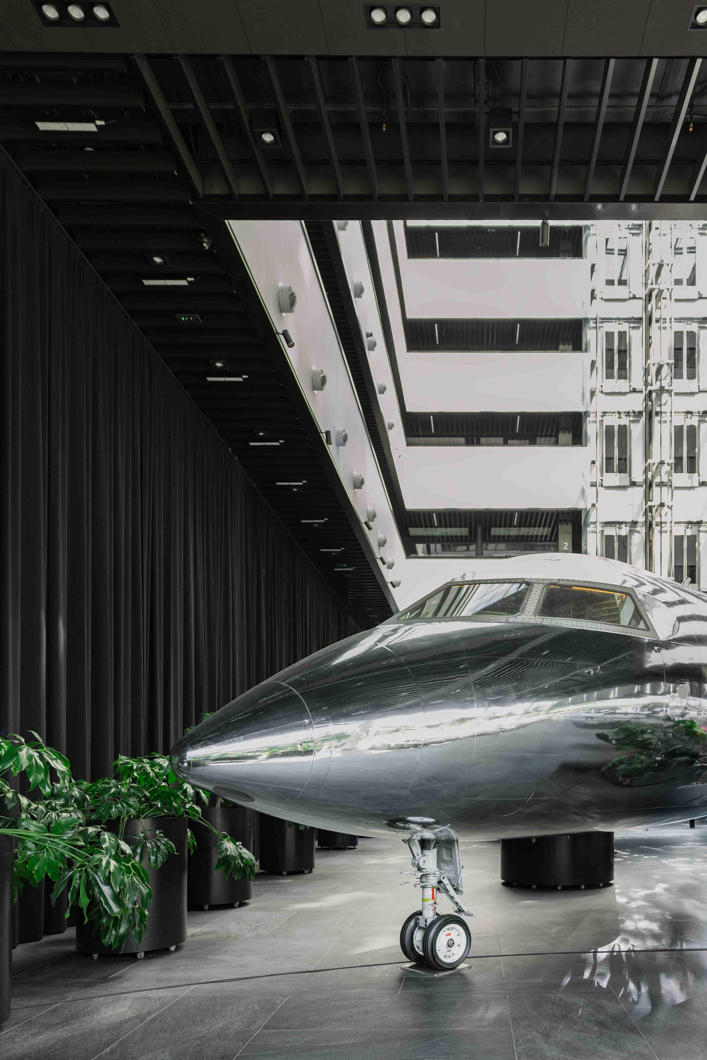 venue wedding reception with plane plants