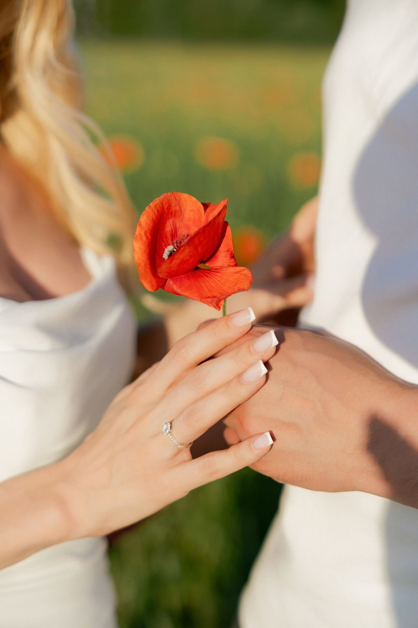 Close up of an engagement ring on a woman's hand as she holds a red poppy over her partner's hand
