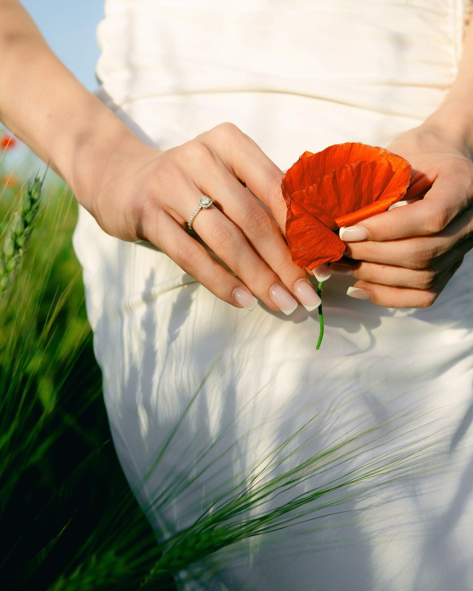 Close up of a couple's hands holding a red poppy flower