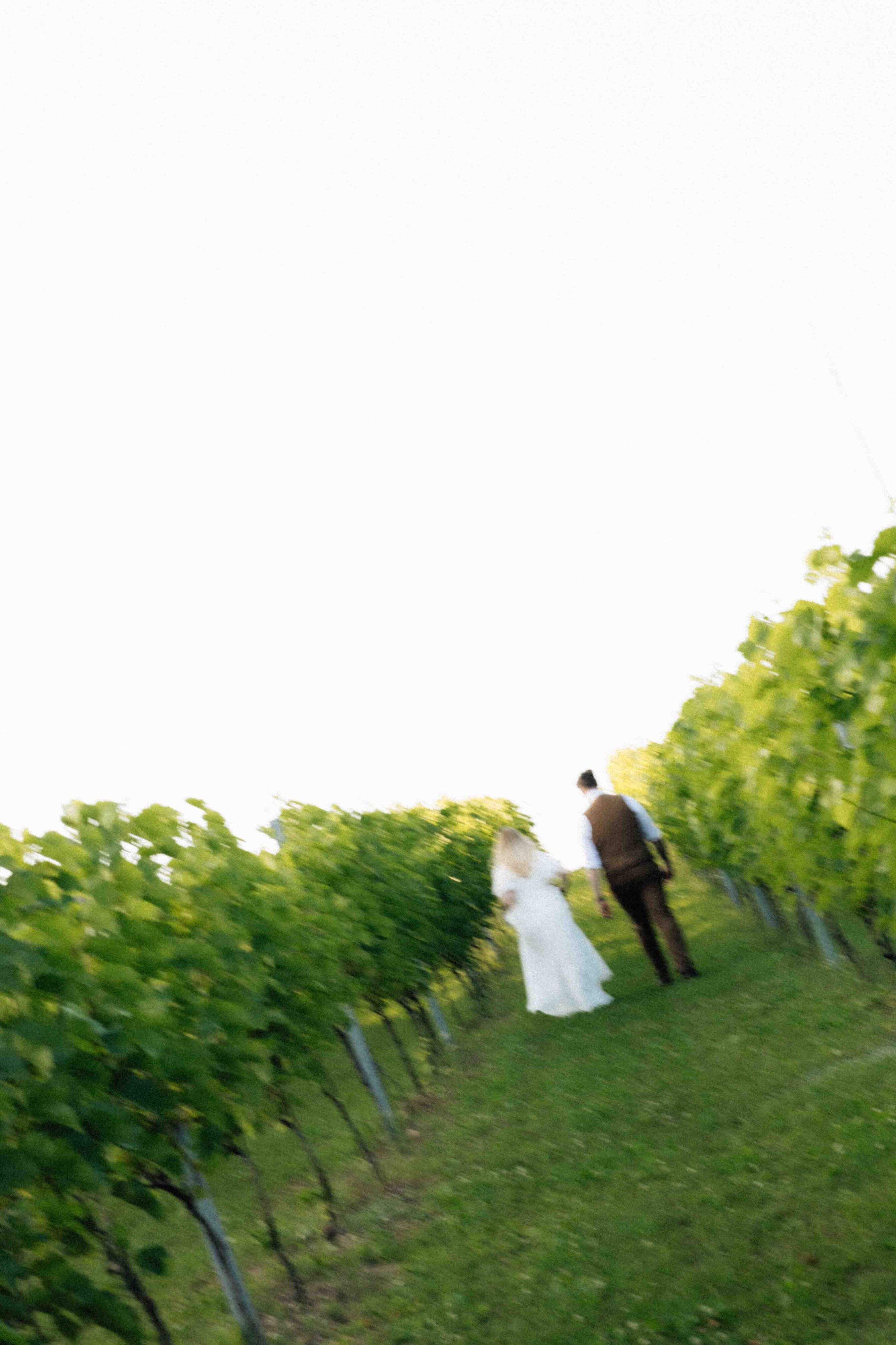 wedding photoshoot amongs vineyards italian countryside