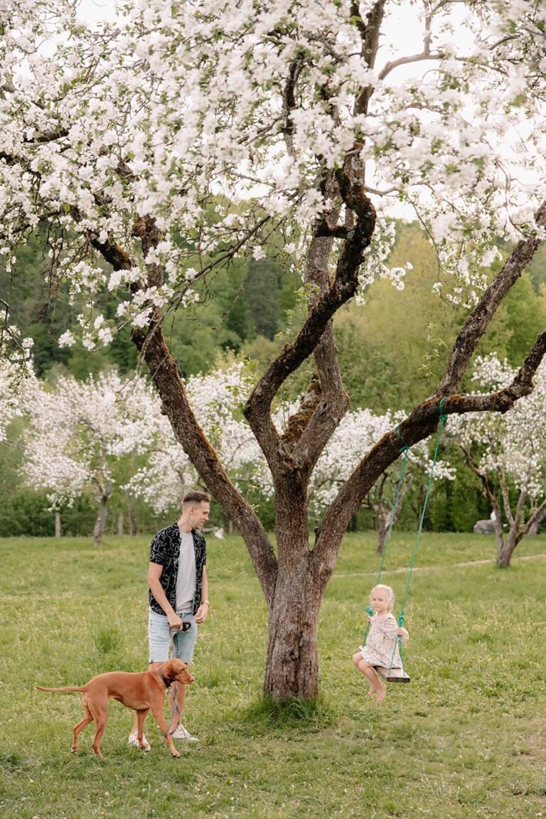 Family with a dog among blooming apple trees