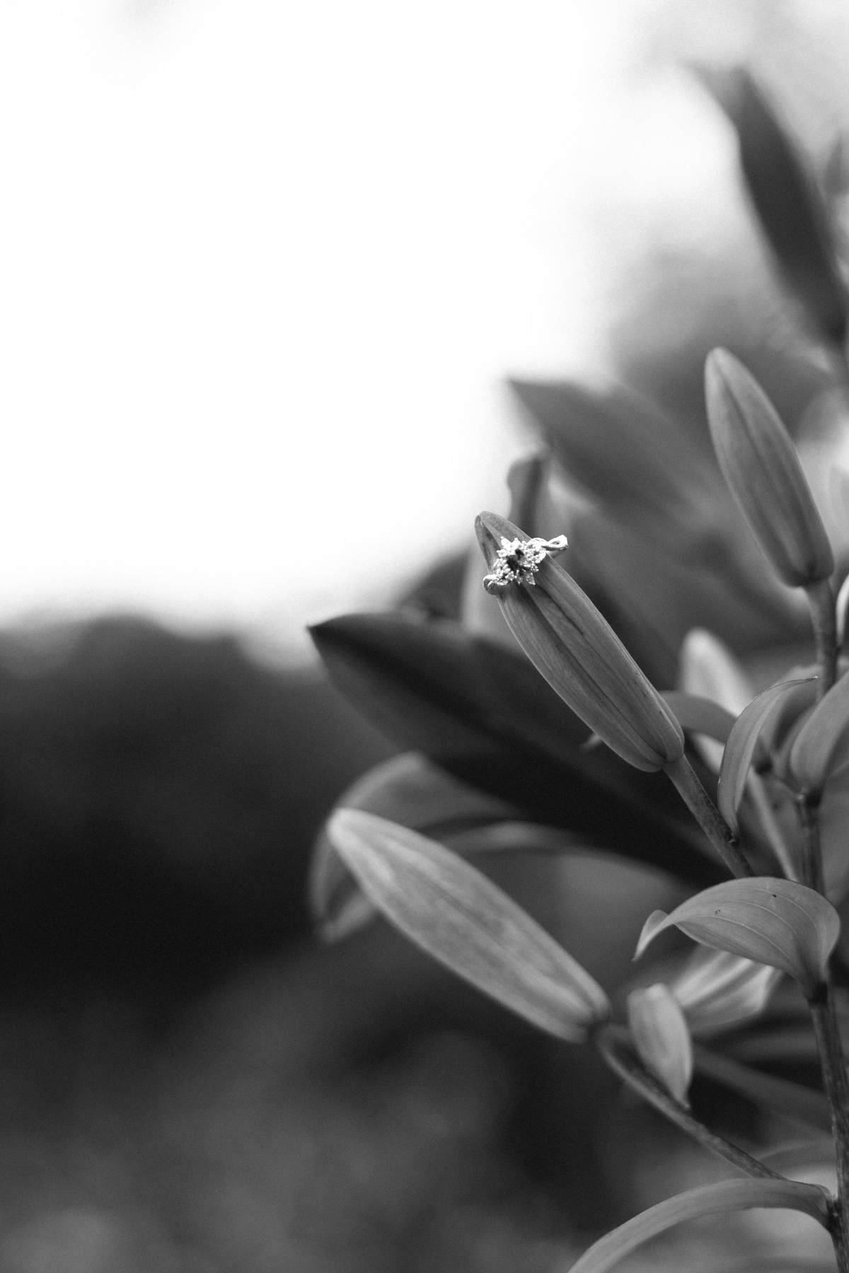 Black and white detail shot of the ring resting on a lily flower.
