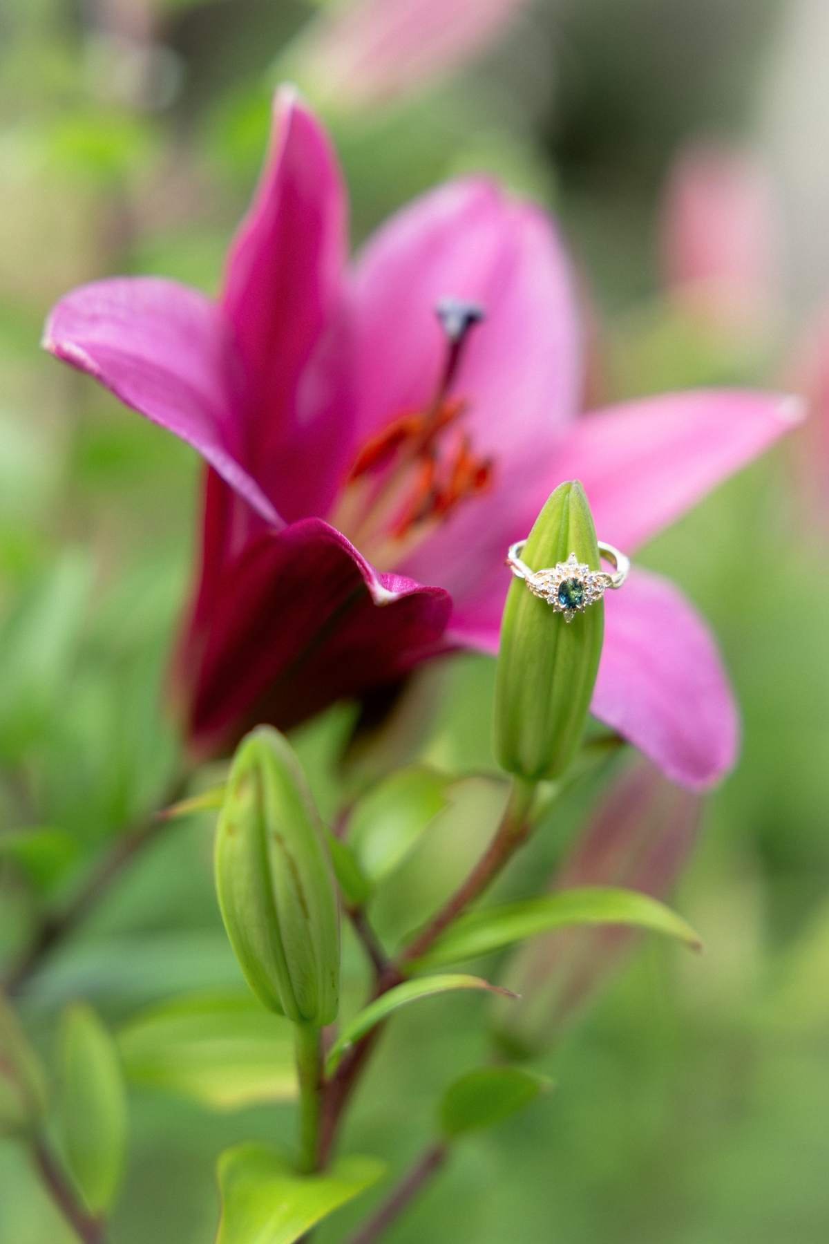 The engagement ring balanced on a pink lily flower in the garden.