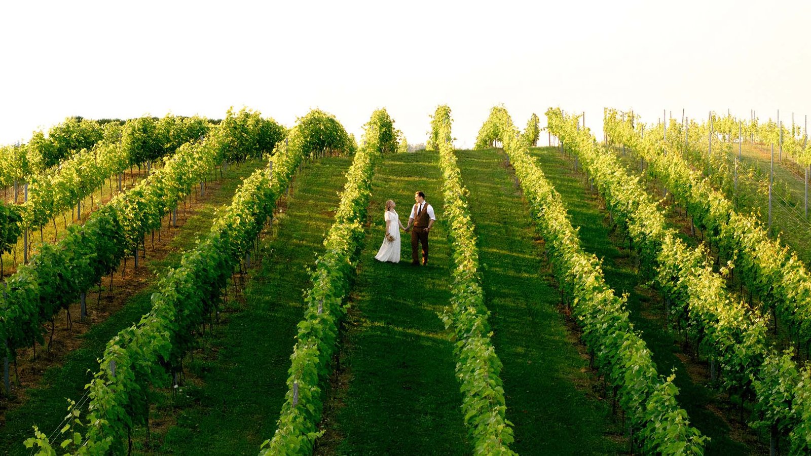 drone photography in vineyard wedding